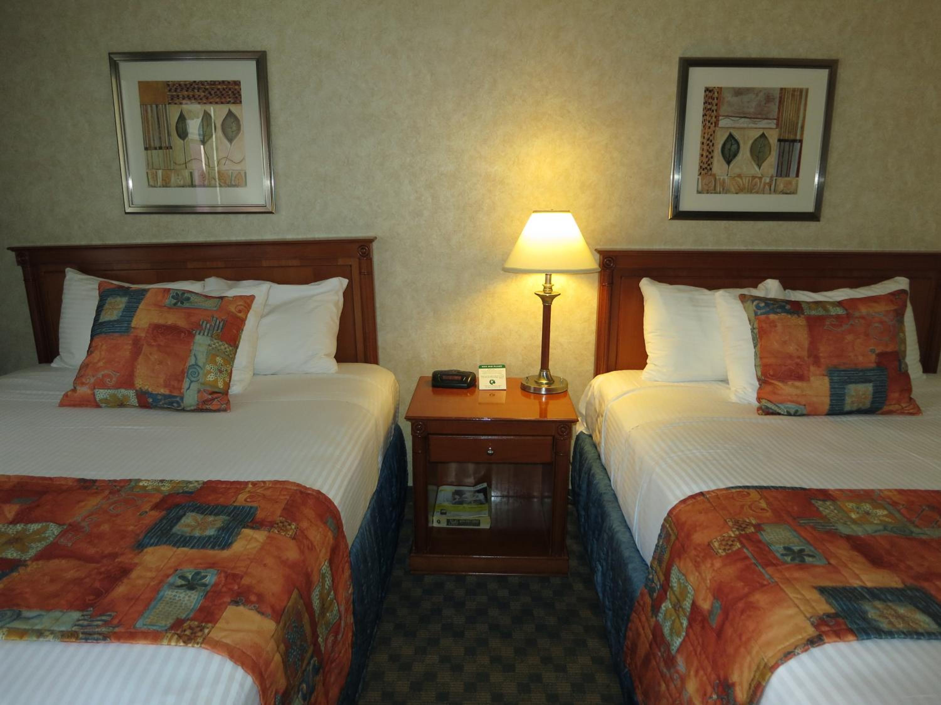Queen Room with Two Queen Beds - Pet Friendly photo 2