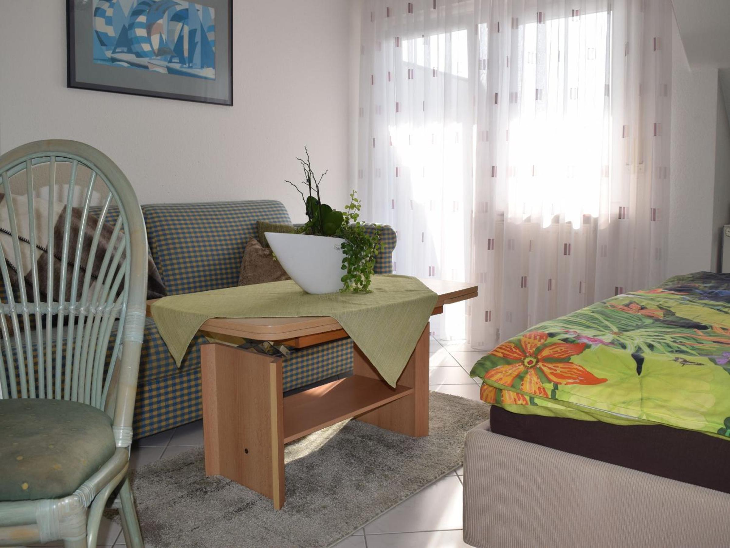Superior One-Bedroom Apartment with Balcony photo 3