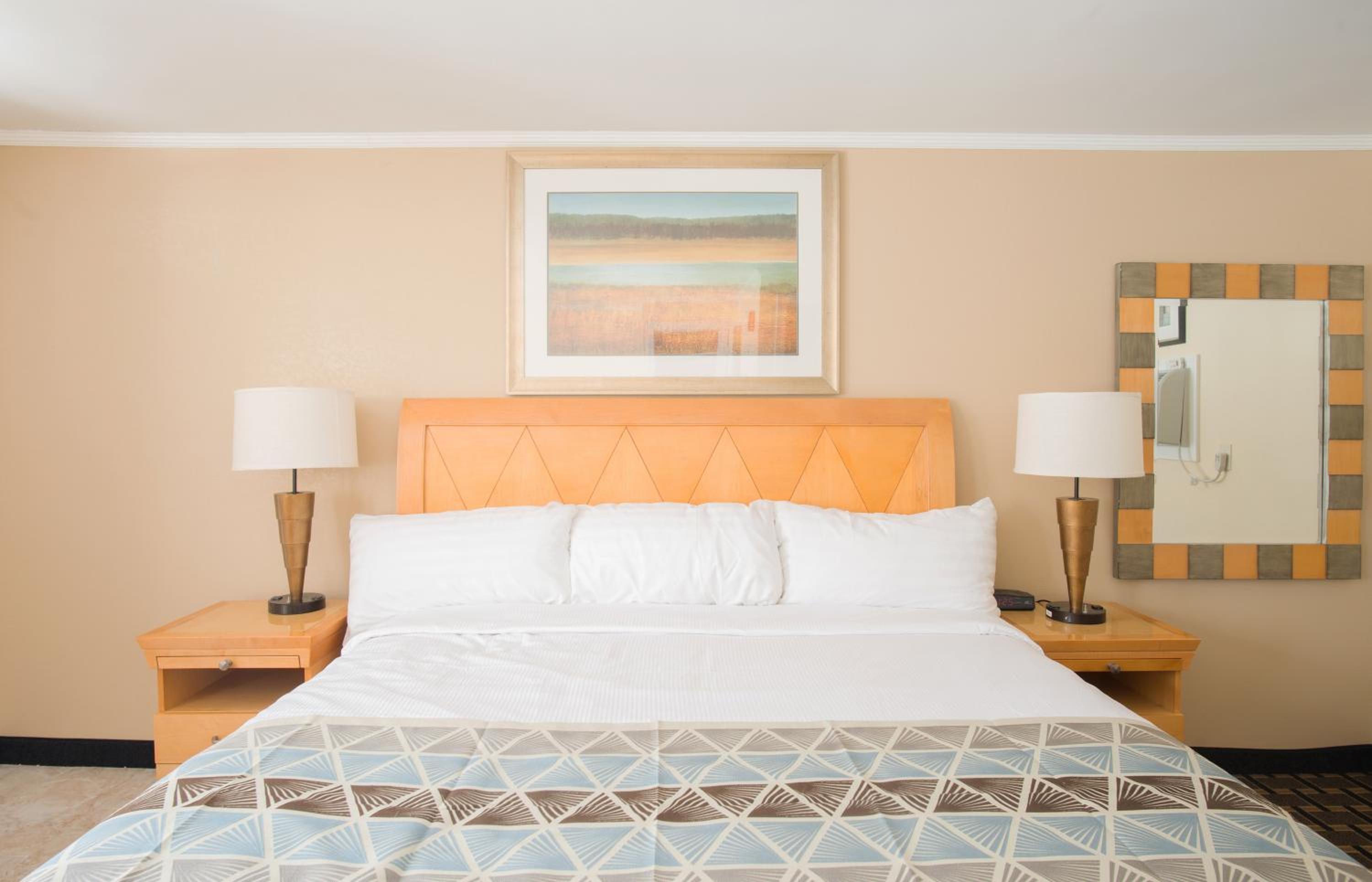 Deluxe Single Room photo 1