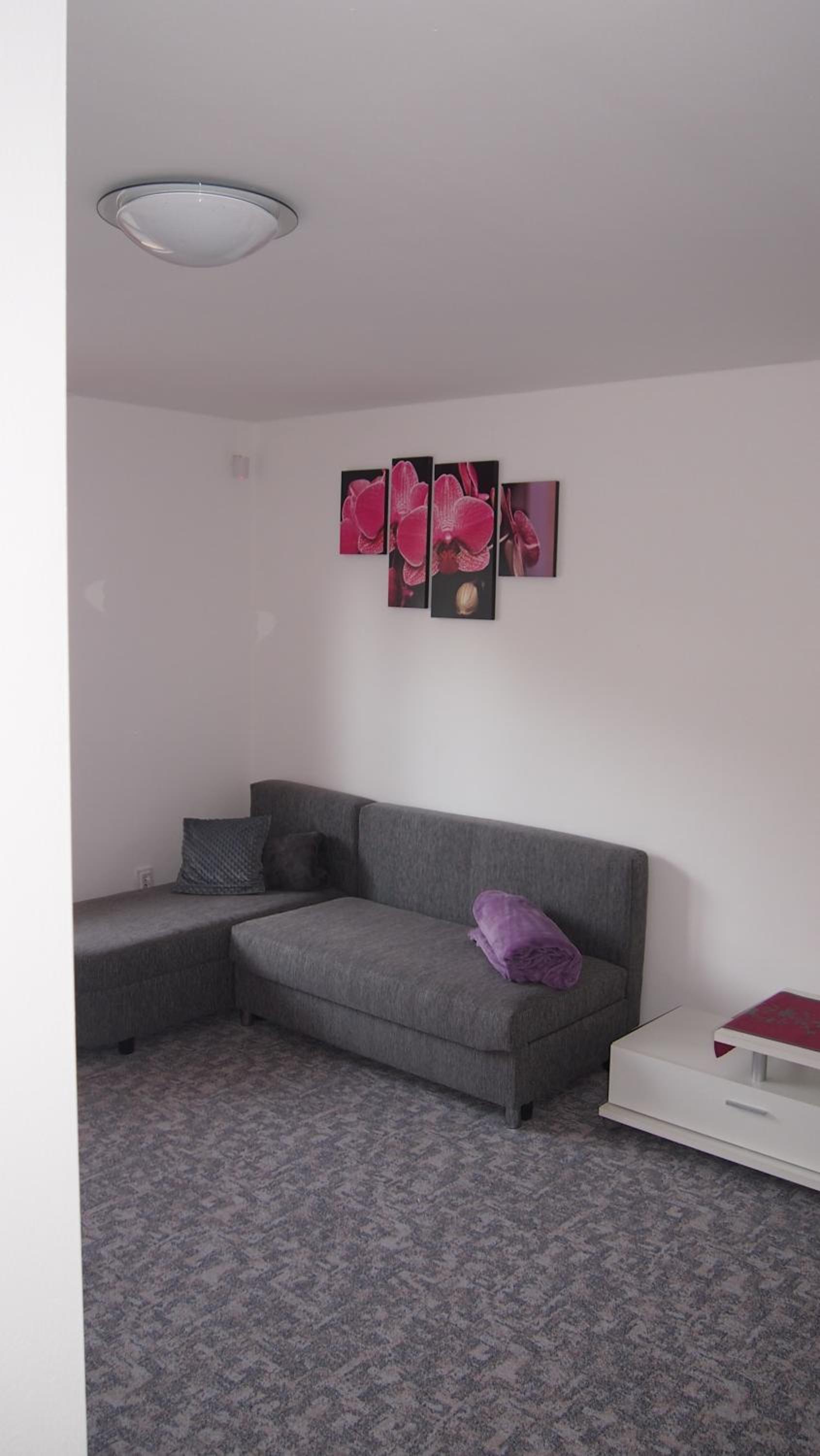 One-Bedroom Apartment - Photo 7