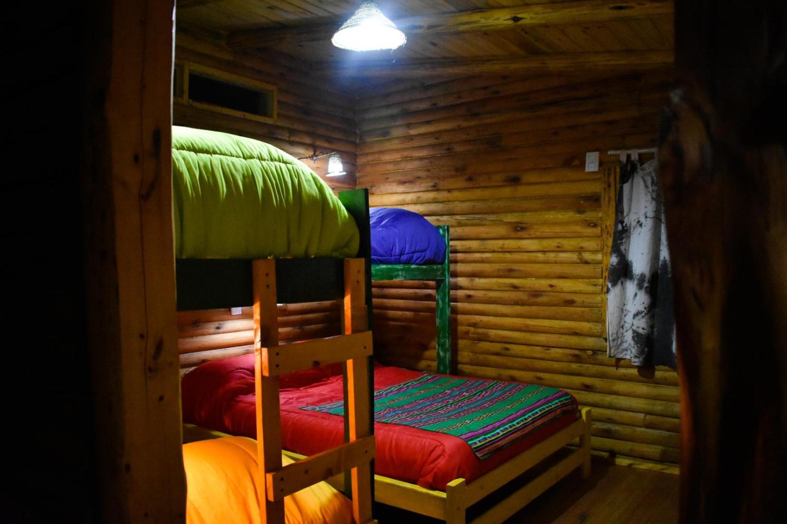 Single Bed in Mixed Dormitory Room photo 1