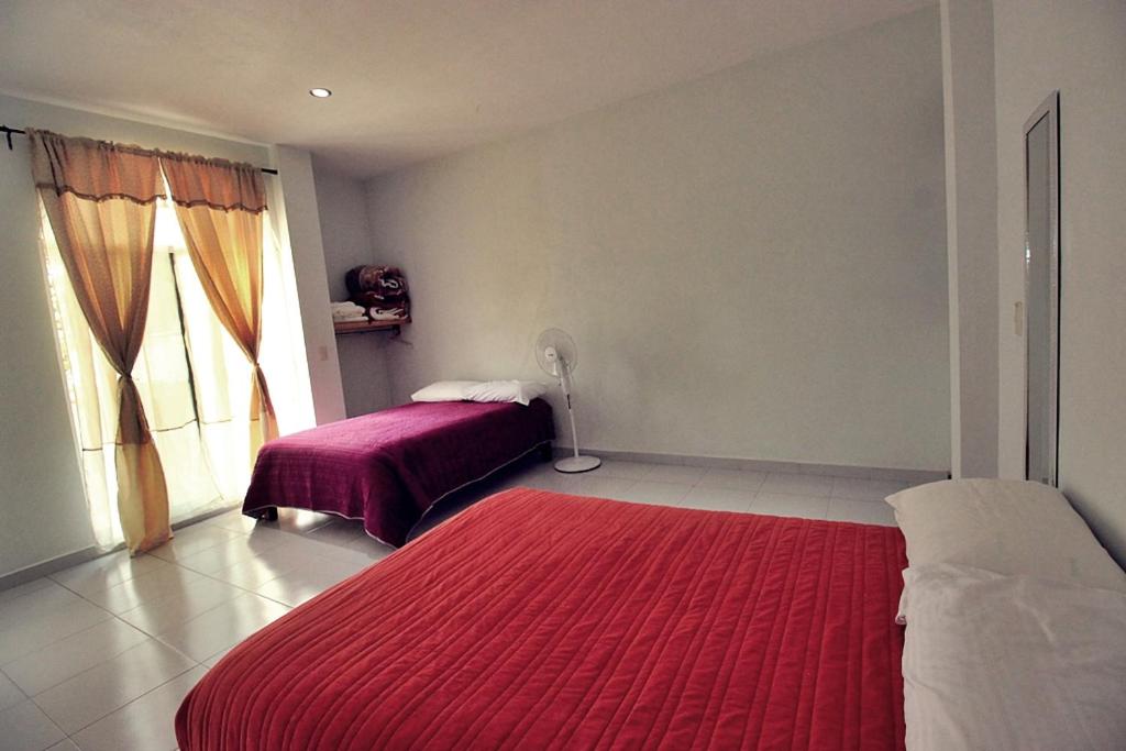 Twin Room - Photo 6