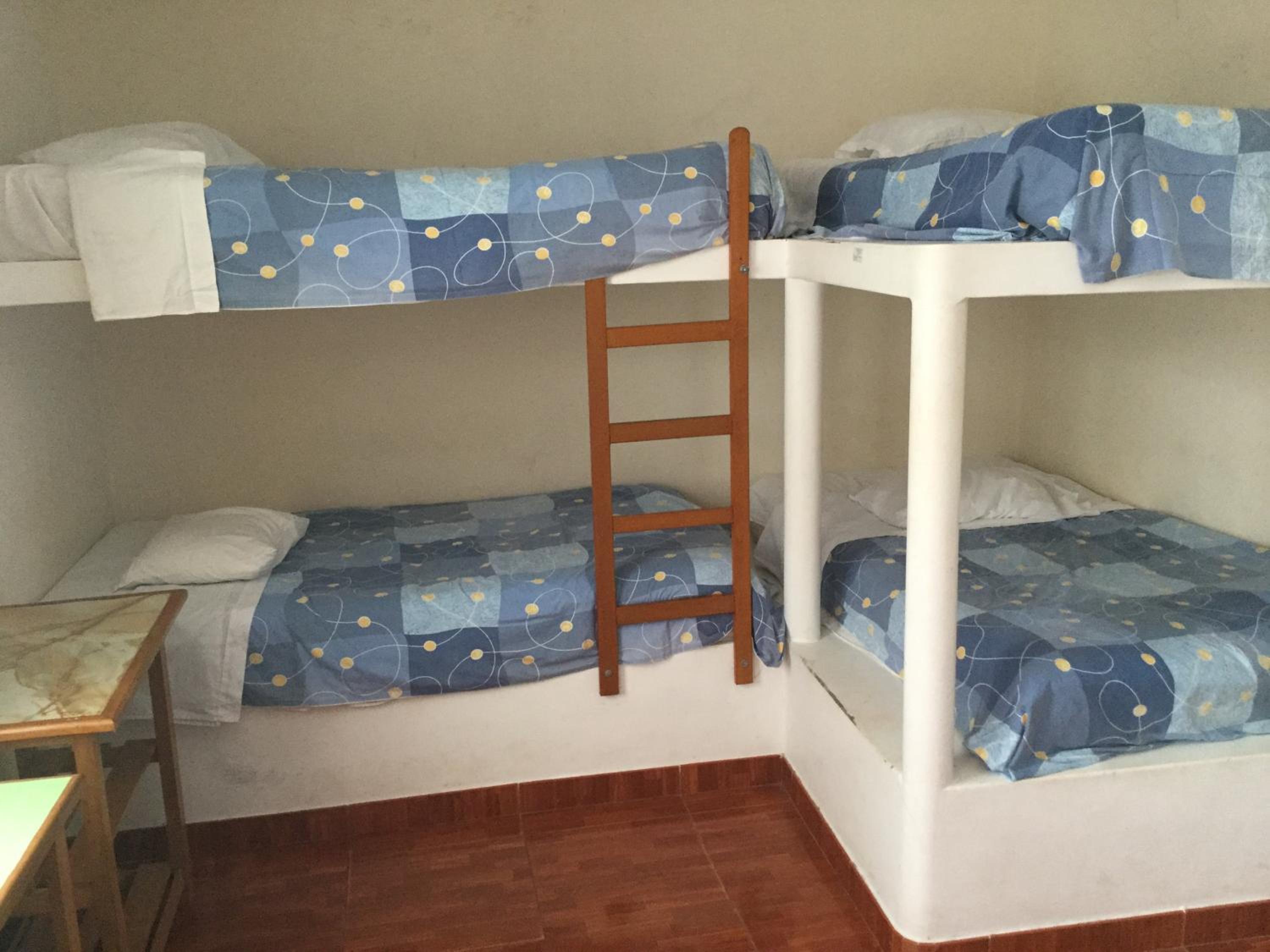 Bed in 6-Bed Dormitory Room photo 3