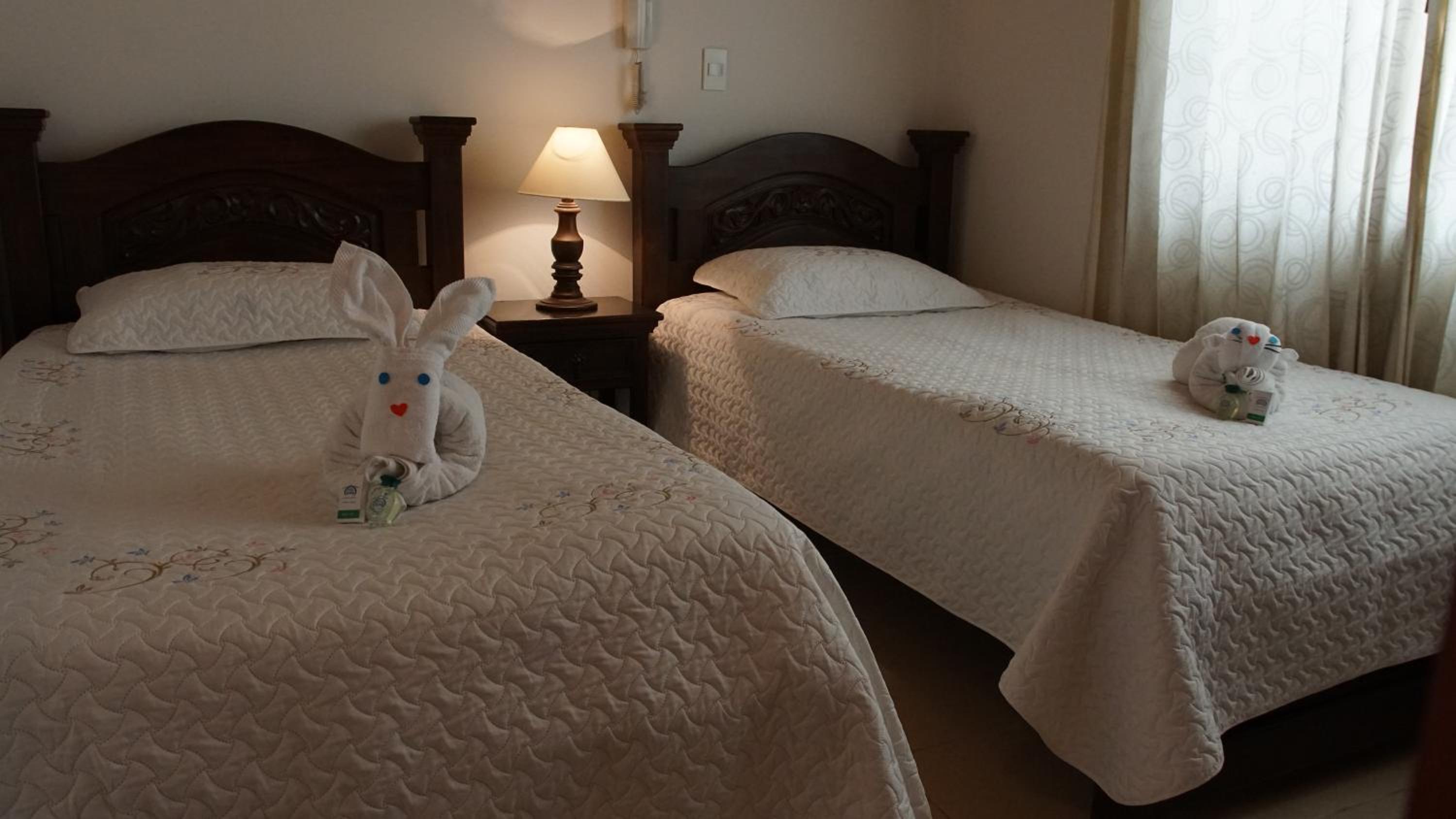 Deluxe Twin Room photo 1