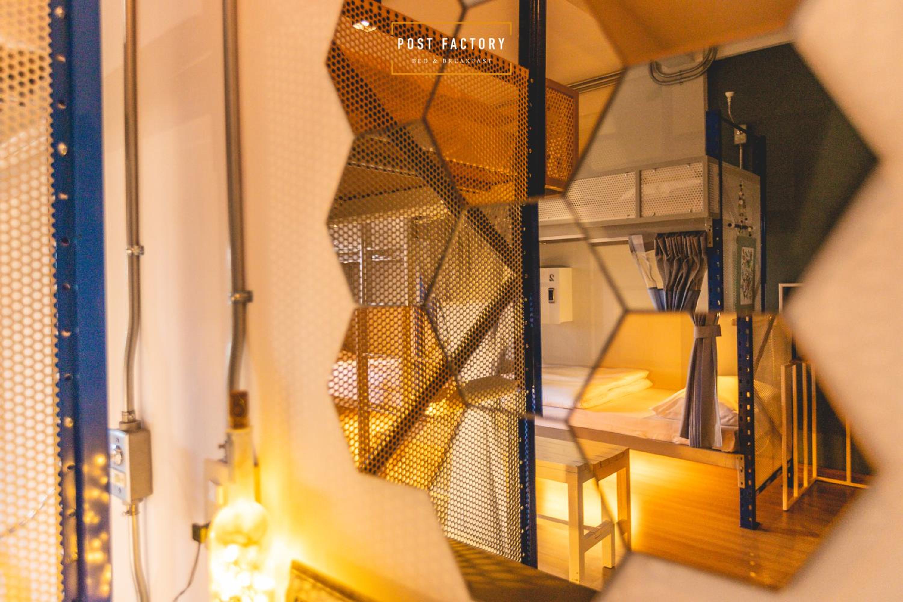 Bunk Bed in Mixed Dormitory Room photo 2