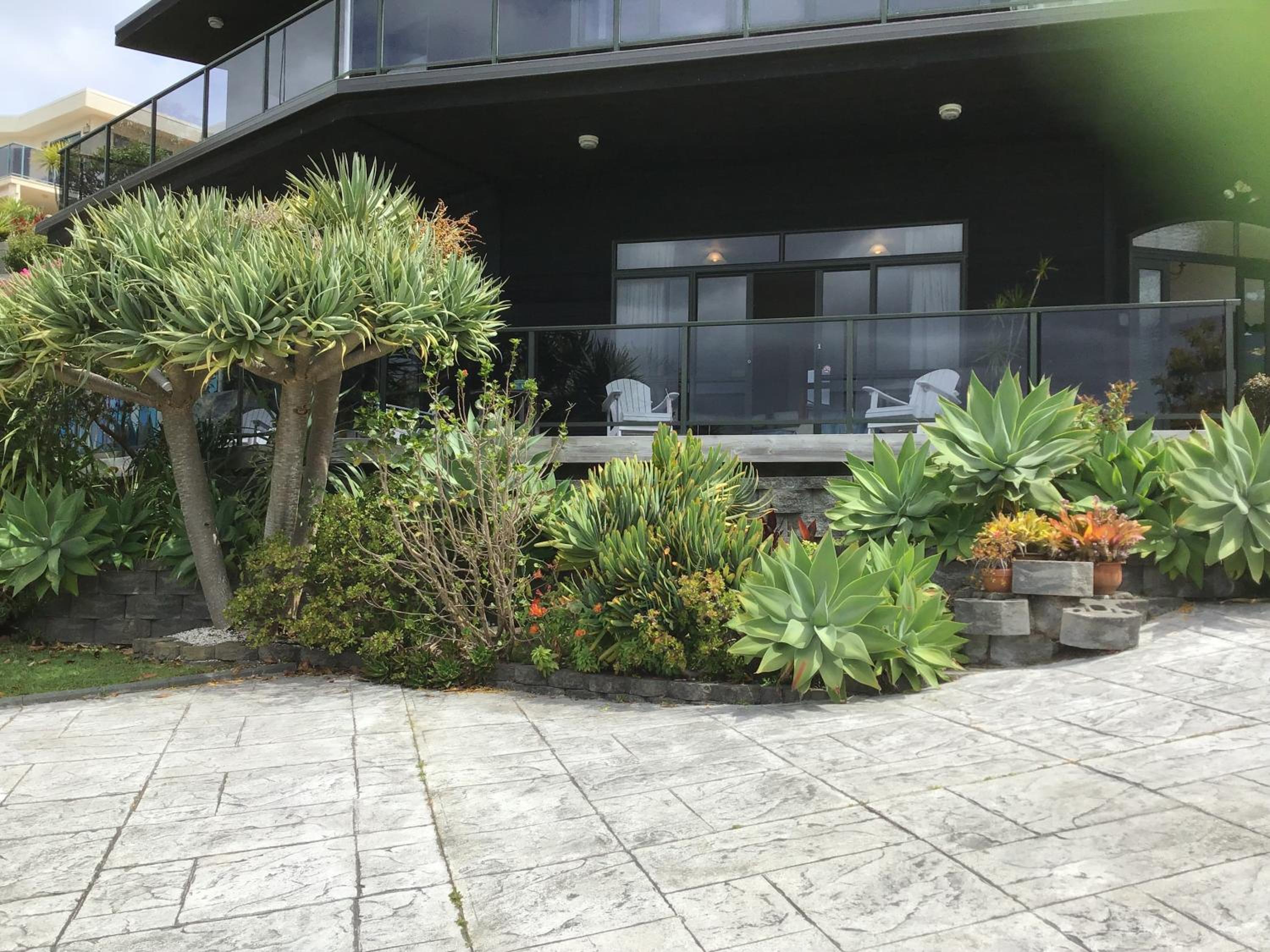 Studio with Sea View photo 1