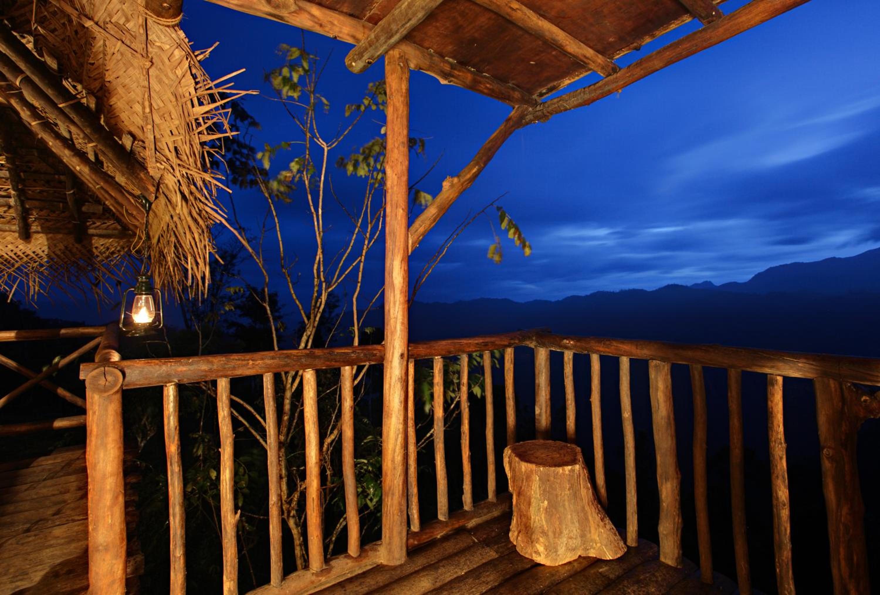 Hornbill Treehut photo 3