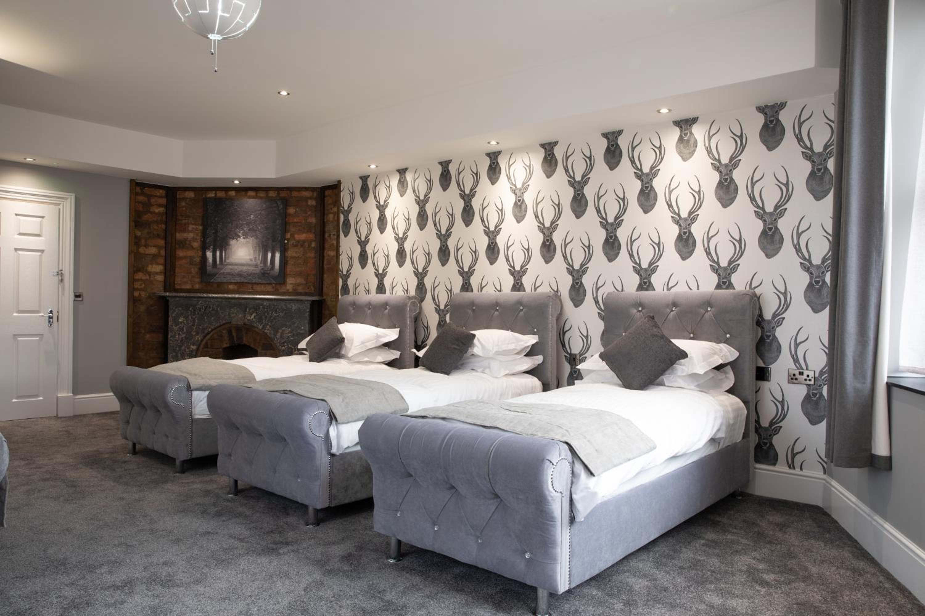 Deluxe Family Room - Photo 3