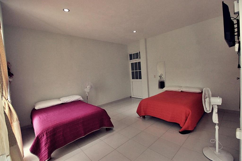 Twin Room - Photo 9
