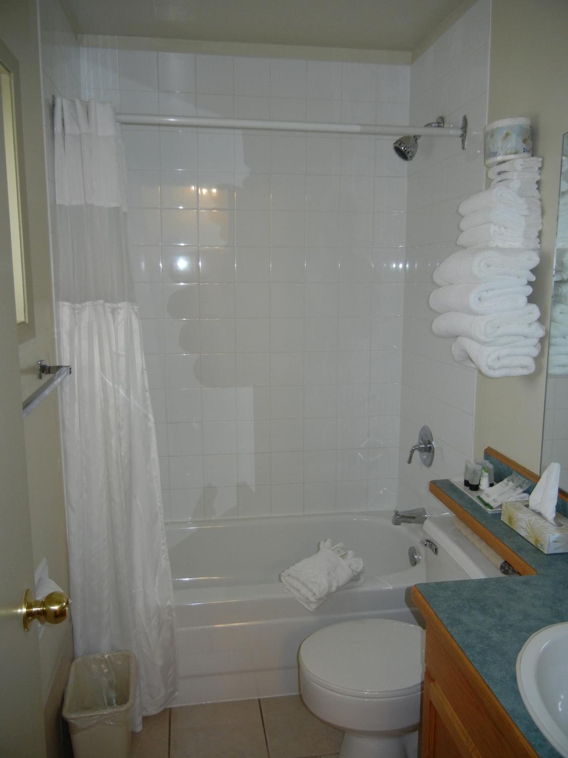 Queen Suite - Non Pet Friendly - Photo 10