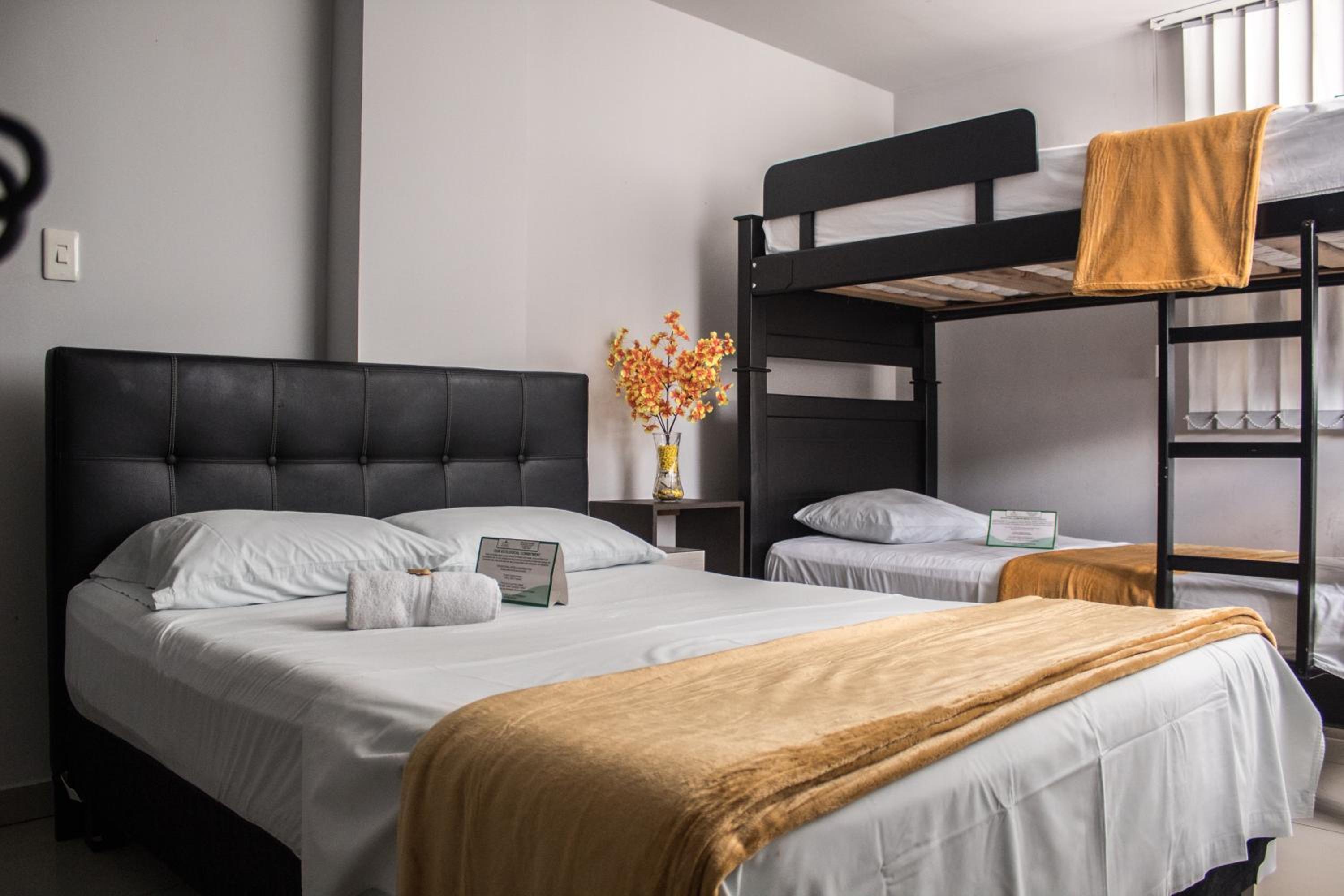 Triple Room photo 2