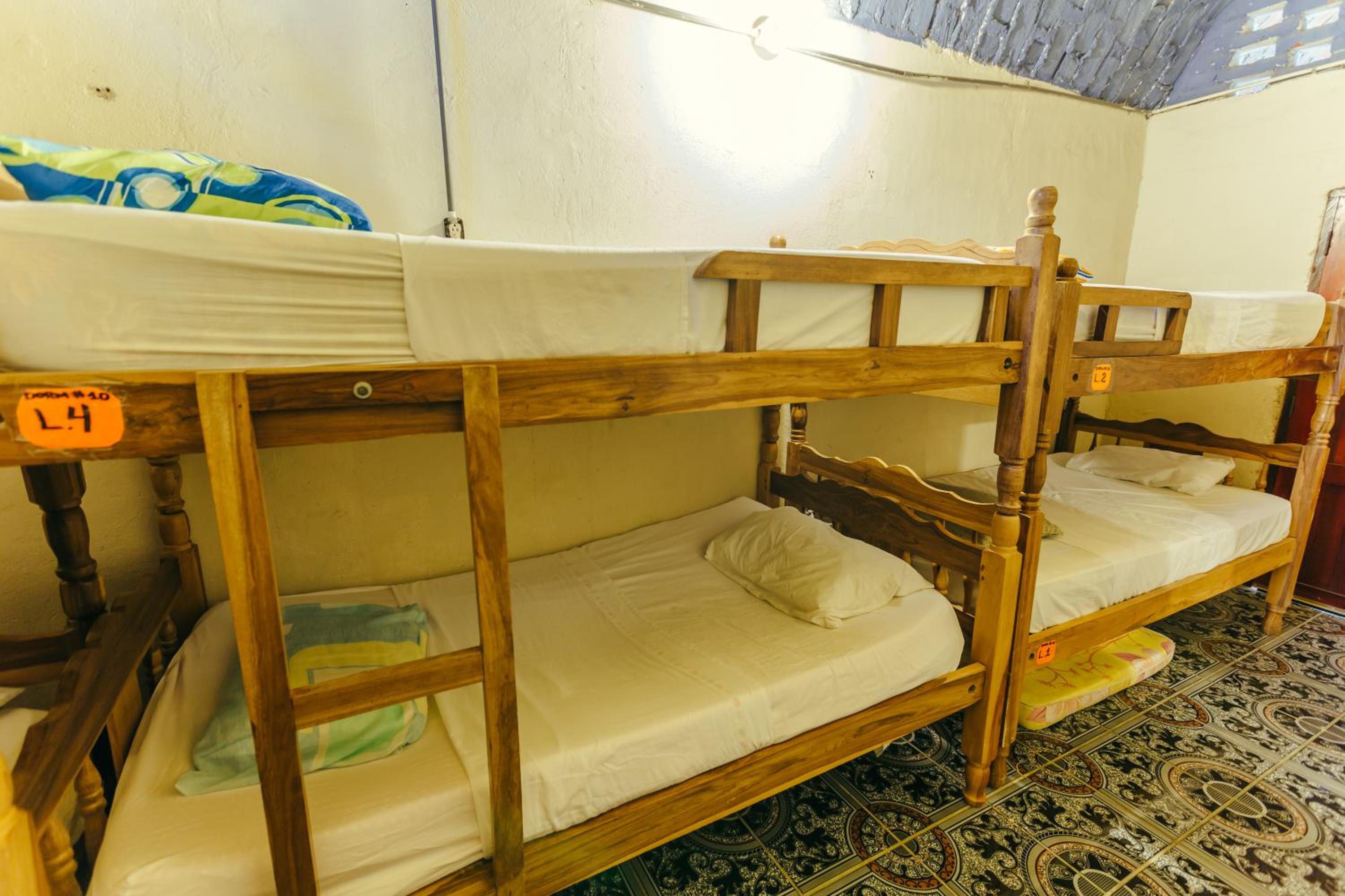 4-Bed Mixed Dormitory Room photo 2
