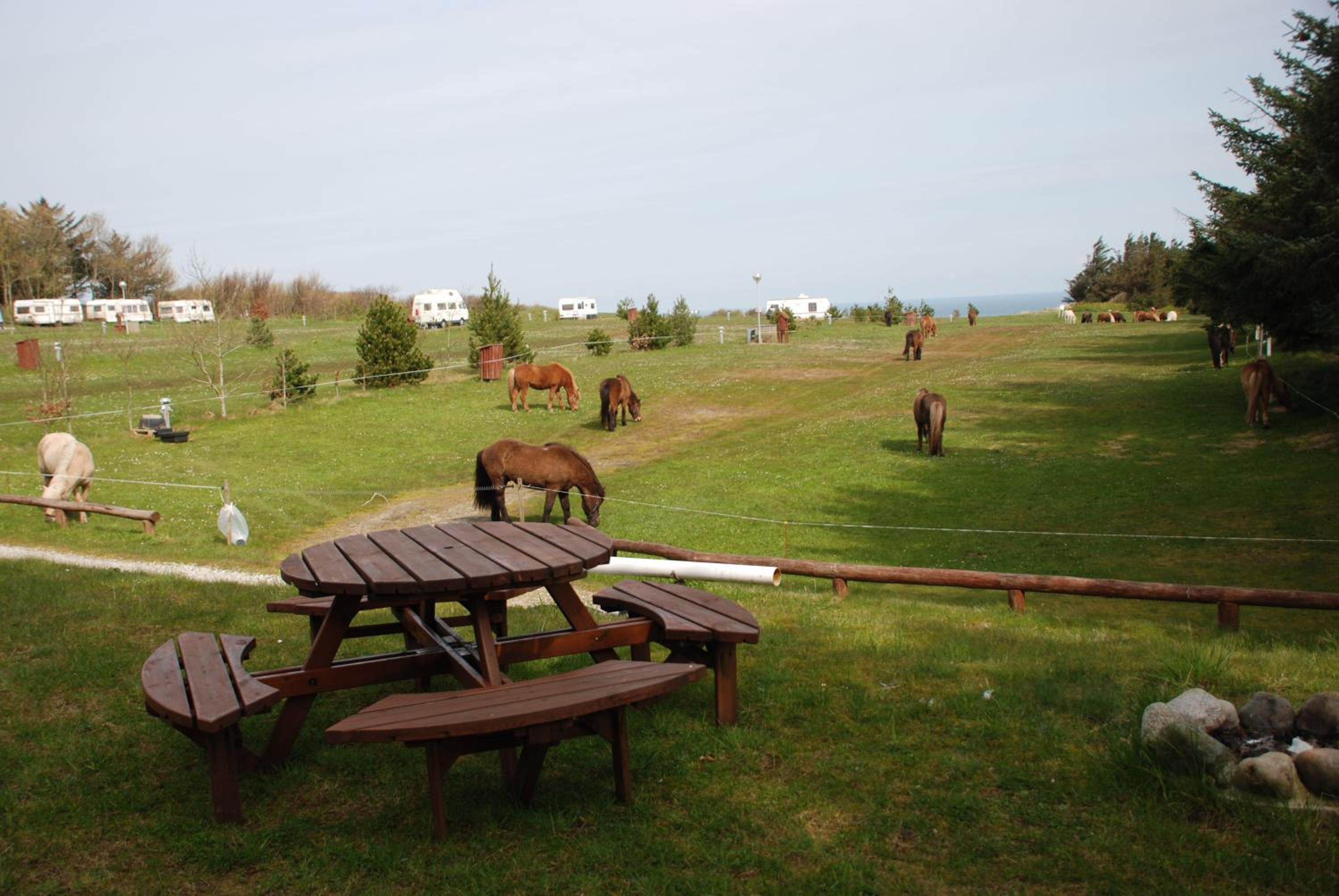 Empty lot (You need to bring your own Tent or Caravan) - Photo 36