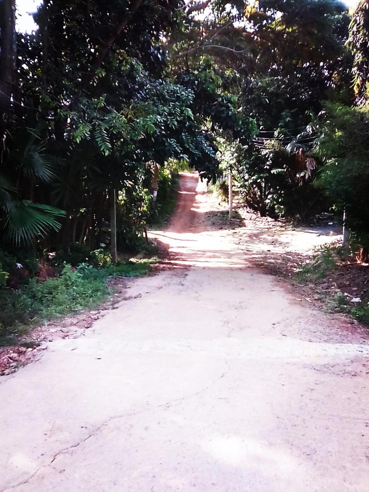 Standard Bungalow with Road Side photo 3