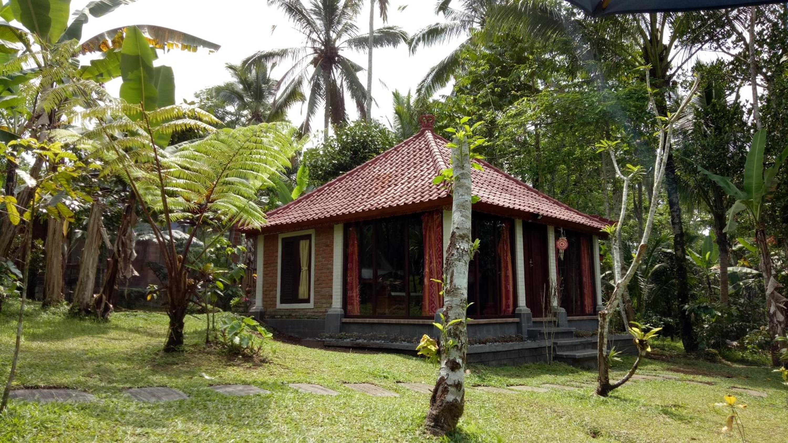 Deluxe Bungalow with Garden View - Photo 7
