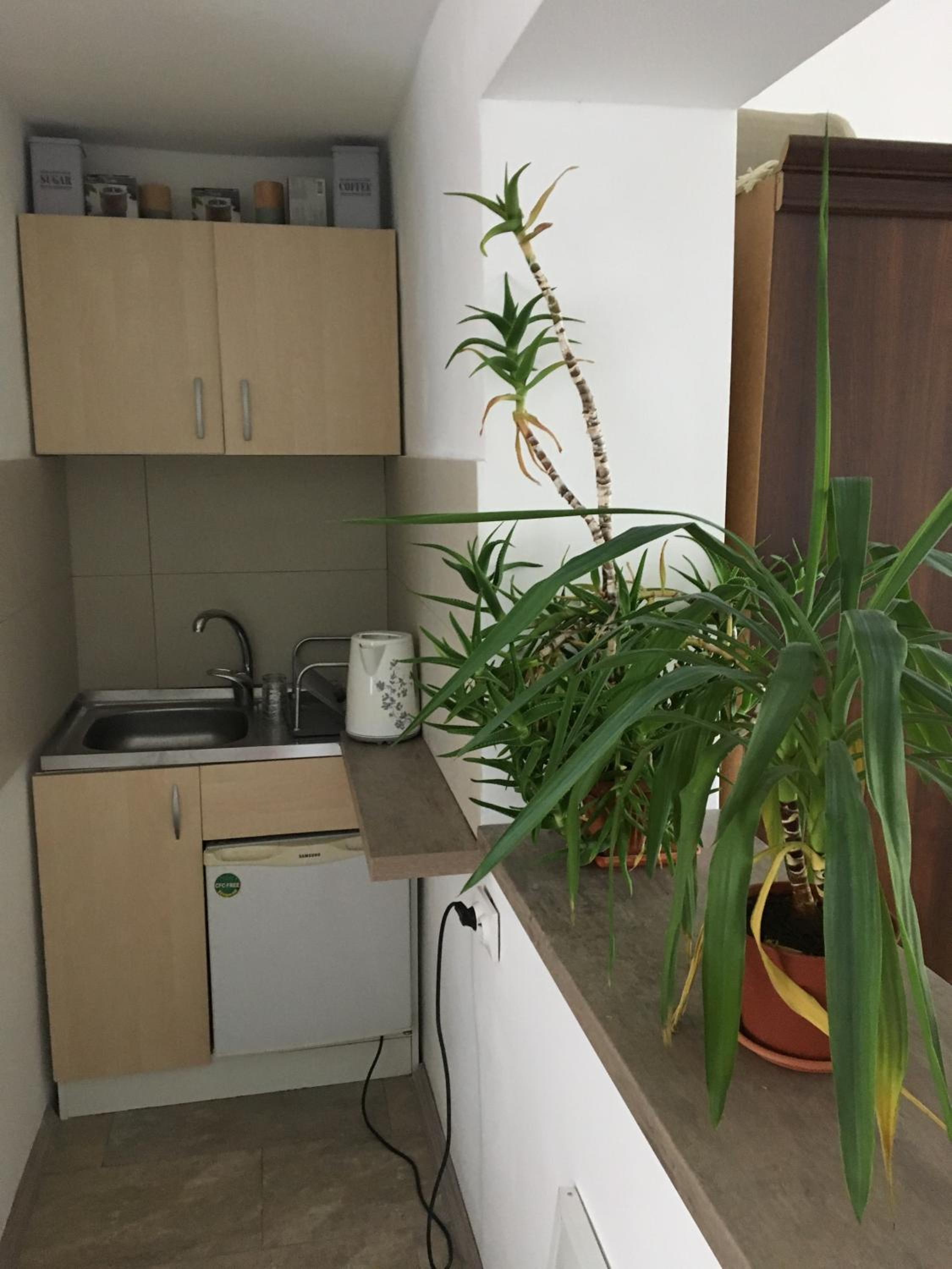 Apartment - Photo 14