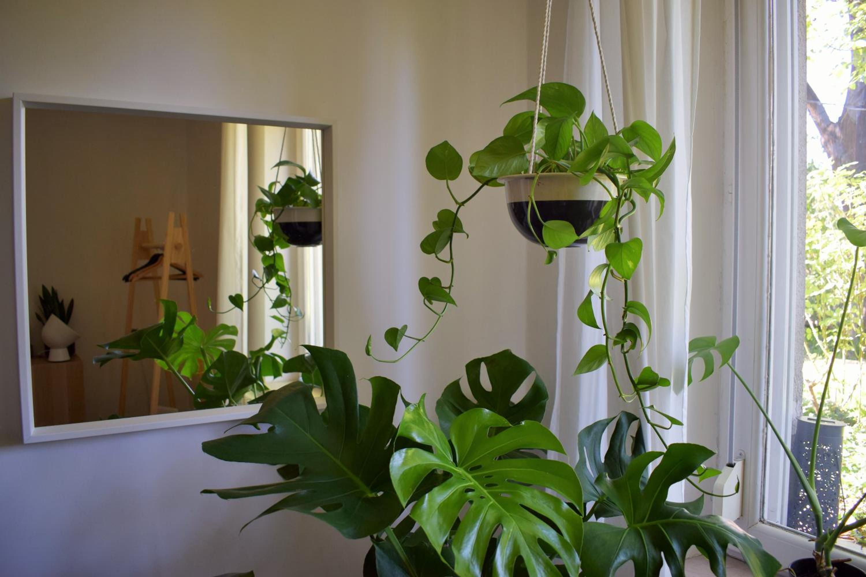 Apartment - Photo 7
