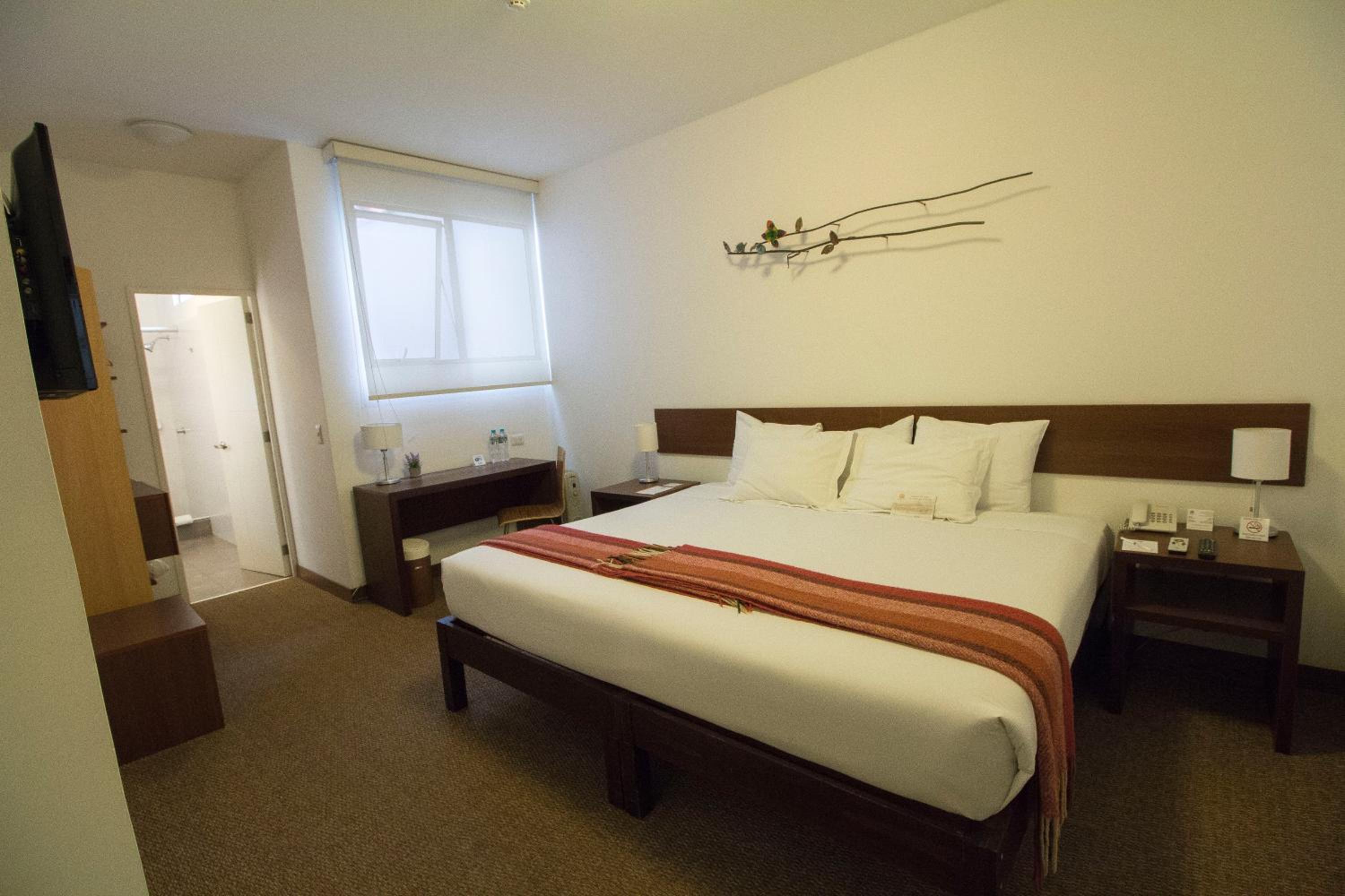 Double or Twin Room photo 1
