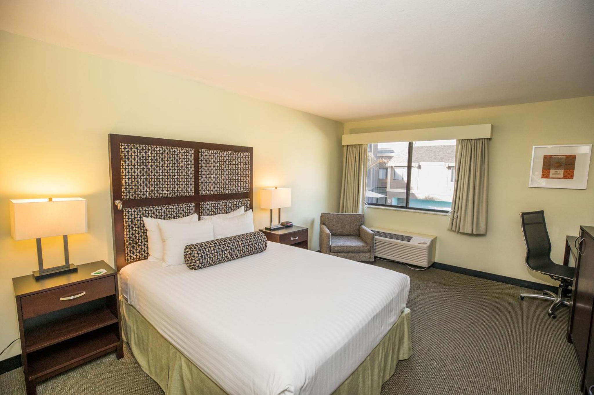 Queen Room - Disability Access - Photo 10