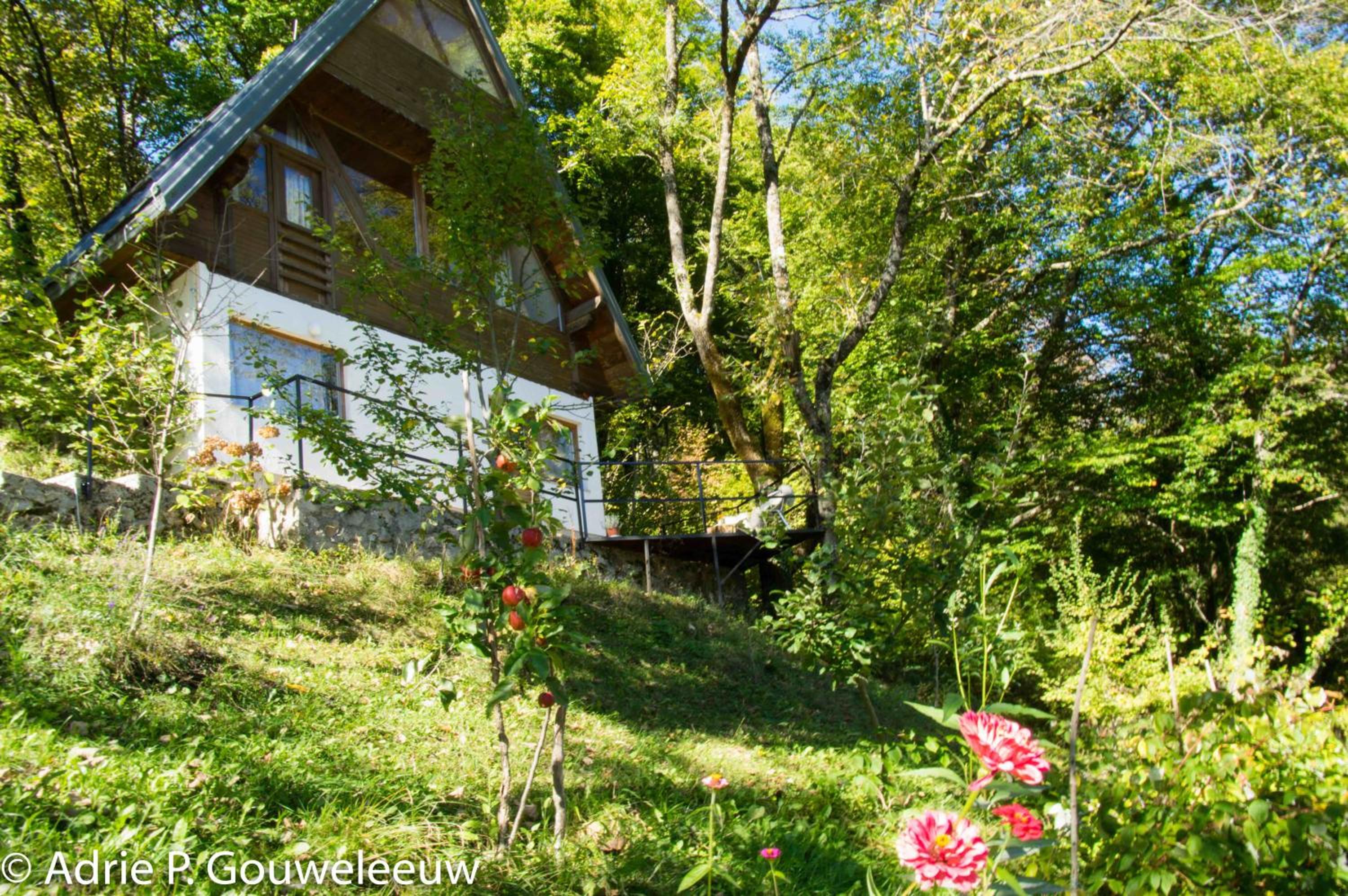 Studio with Terrace photo 3