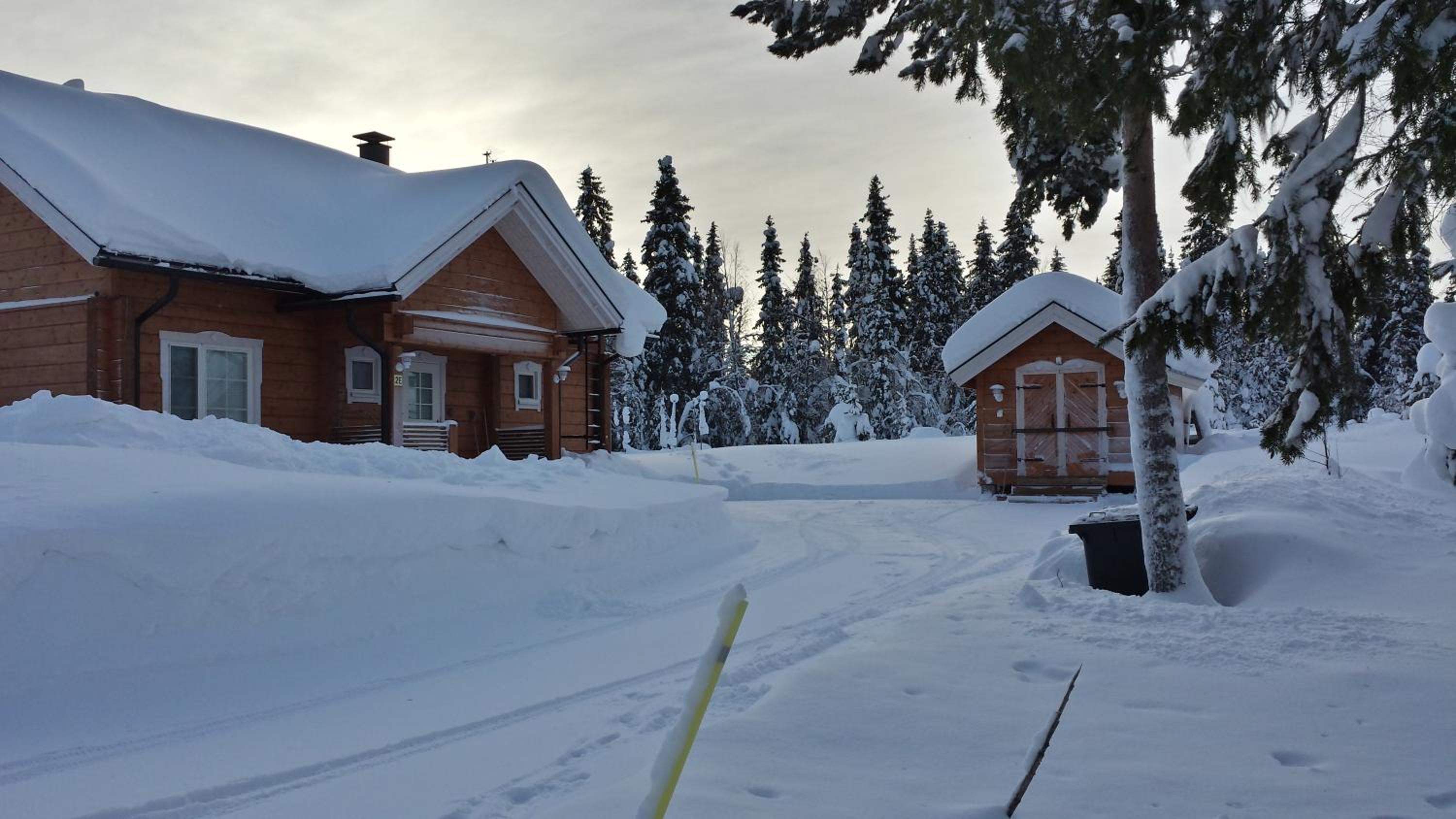 Two-Bedroom Chalet photo 2