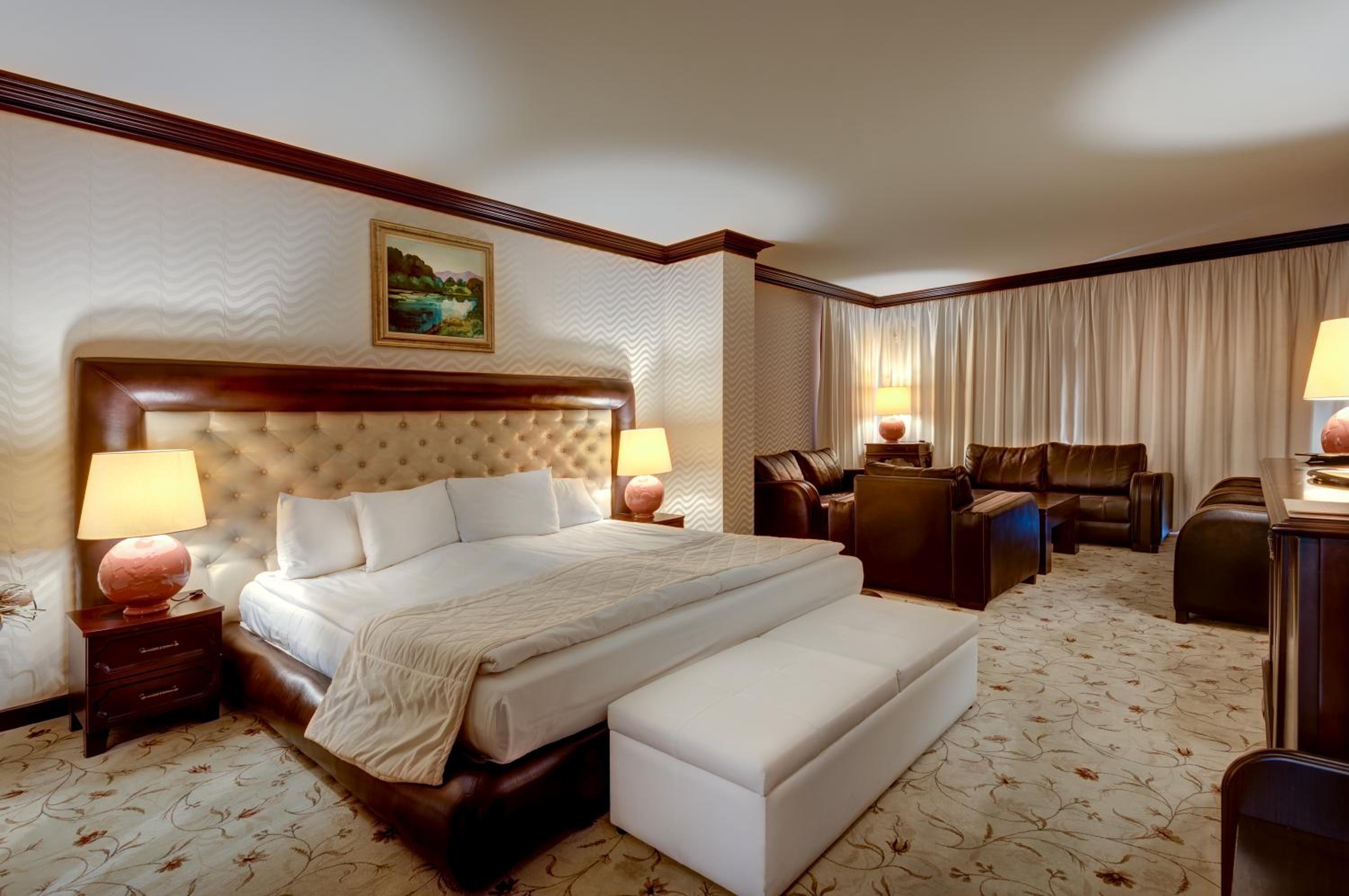 Deluxe King Suite with Mountain View photo 3