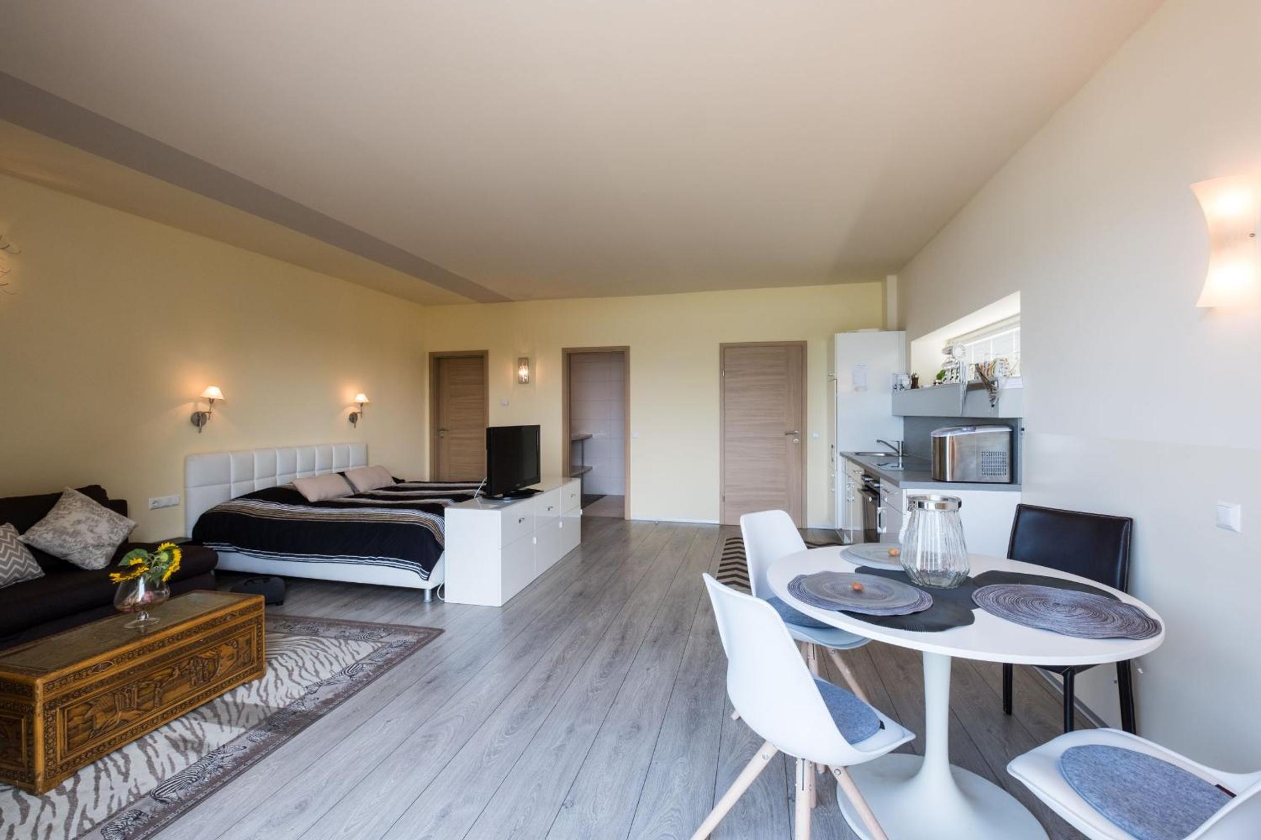 Loft Apartment With Balcony And Lake View