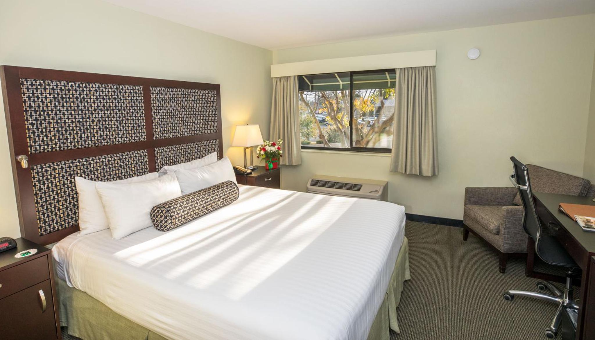 Queen Room - Disability Access - Photo 5