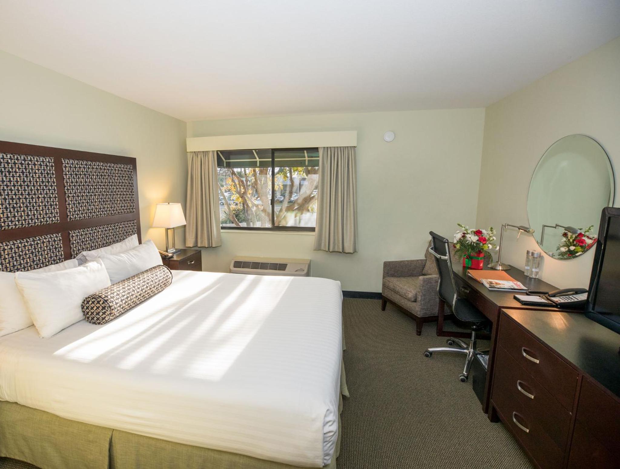 Queen Room - Disability Access - Photo 11