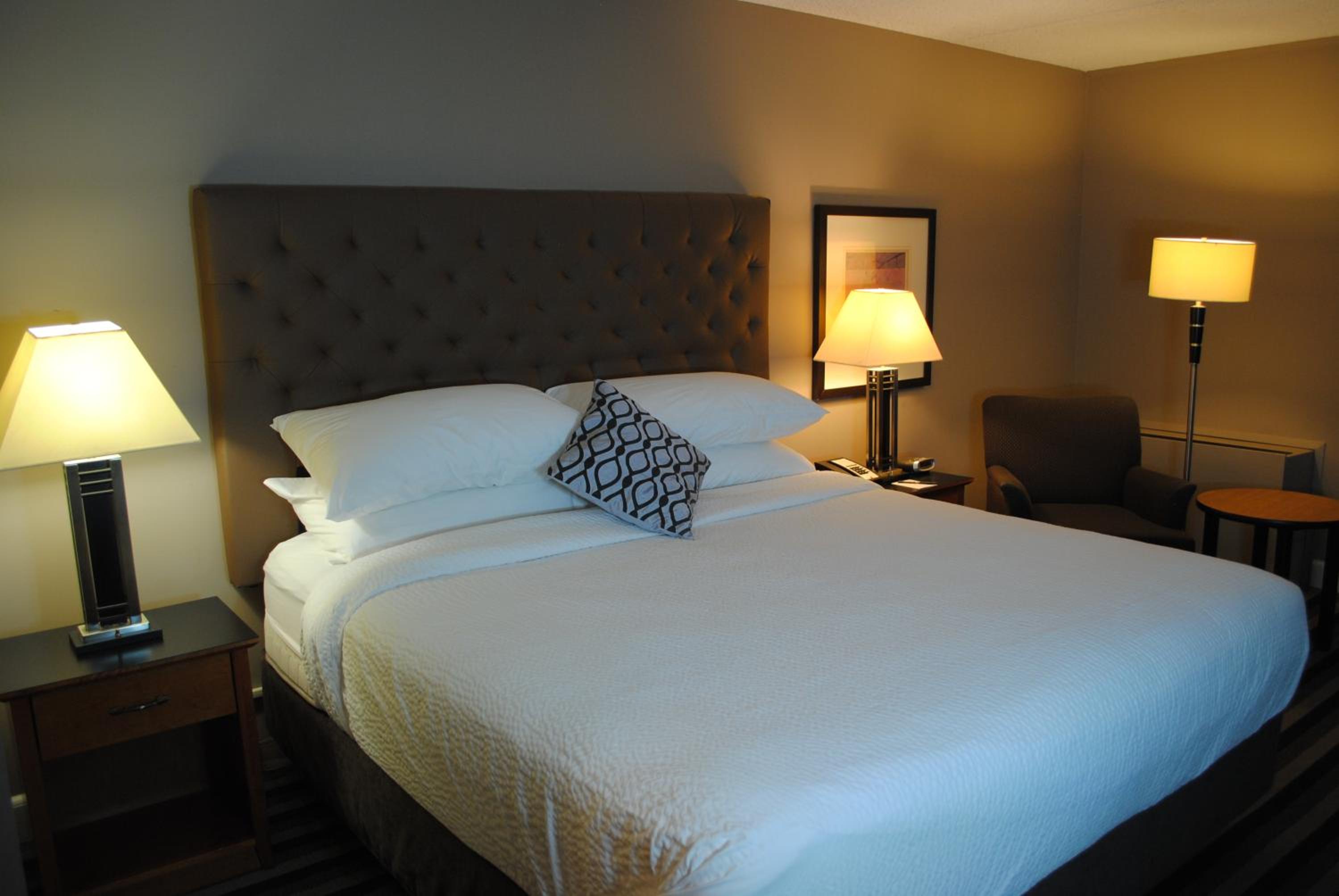 King Room - Non-Smoking (Not Pet Friendly)  - Photo 3
