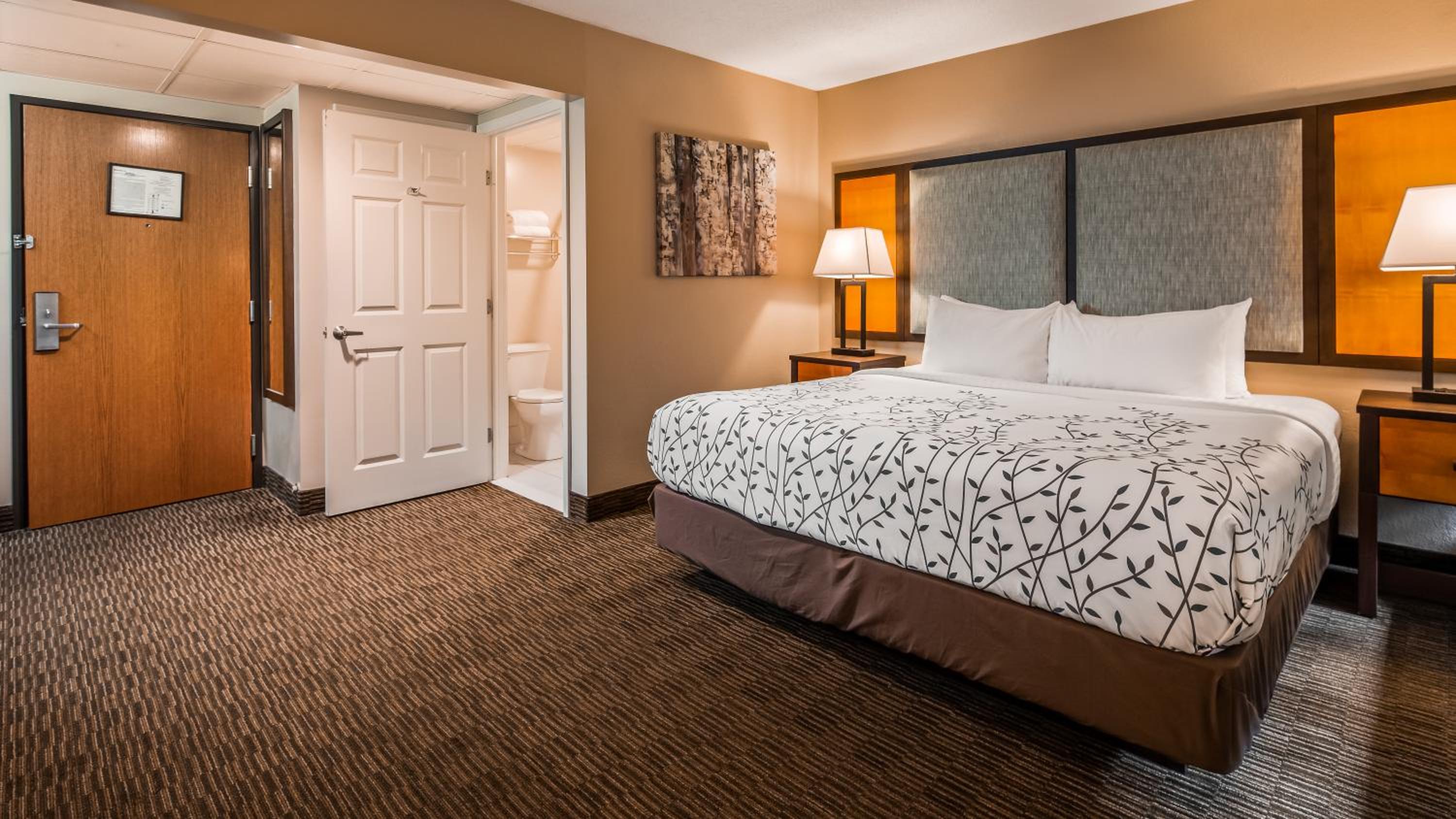 King Room - Non-Smoking - Photo 1