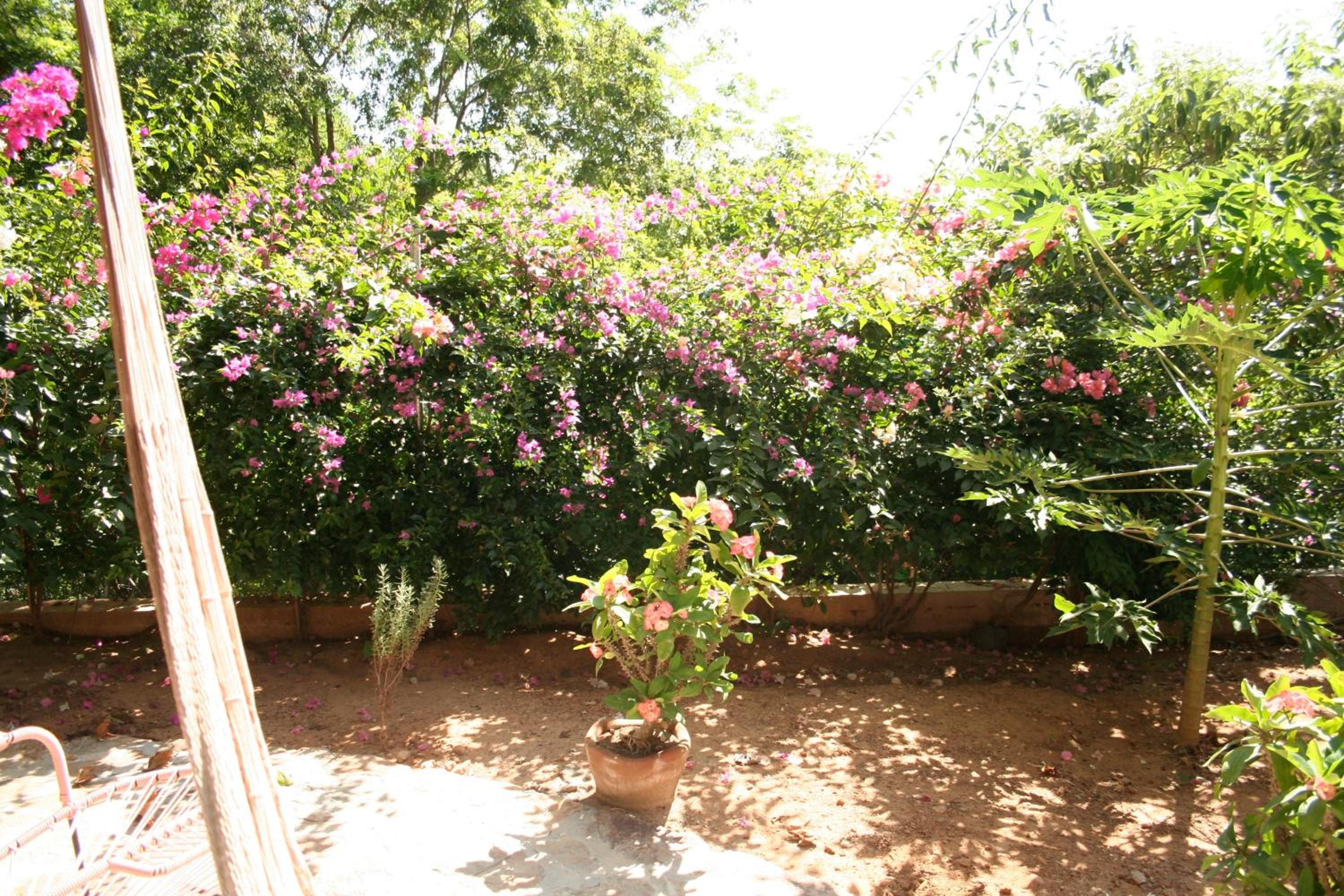 Double Room with Garden View - Photo 11