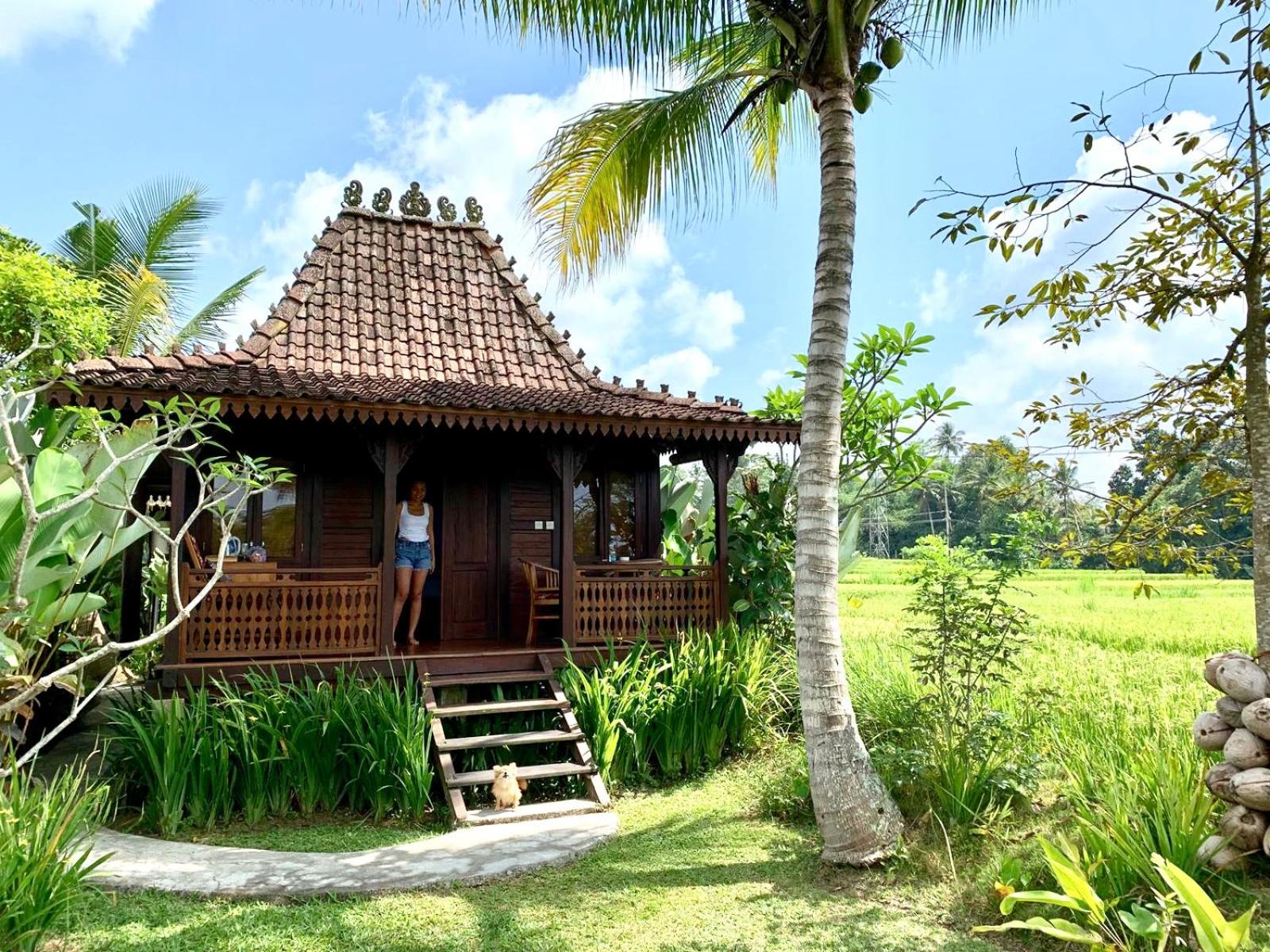 One-Bedroom Villa - Photo 84