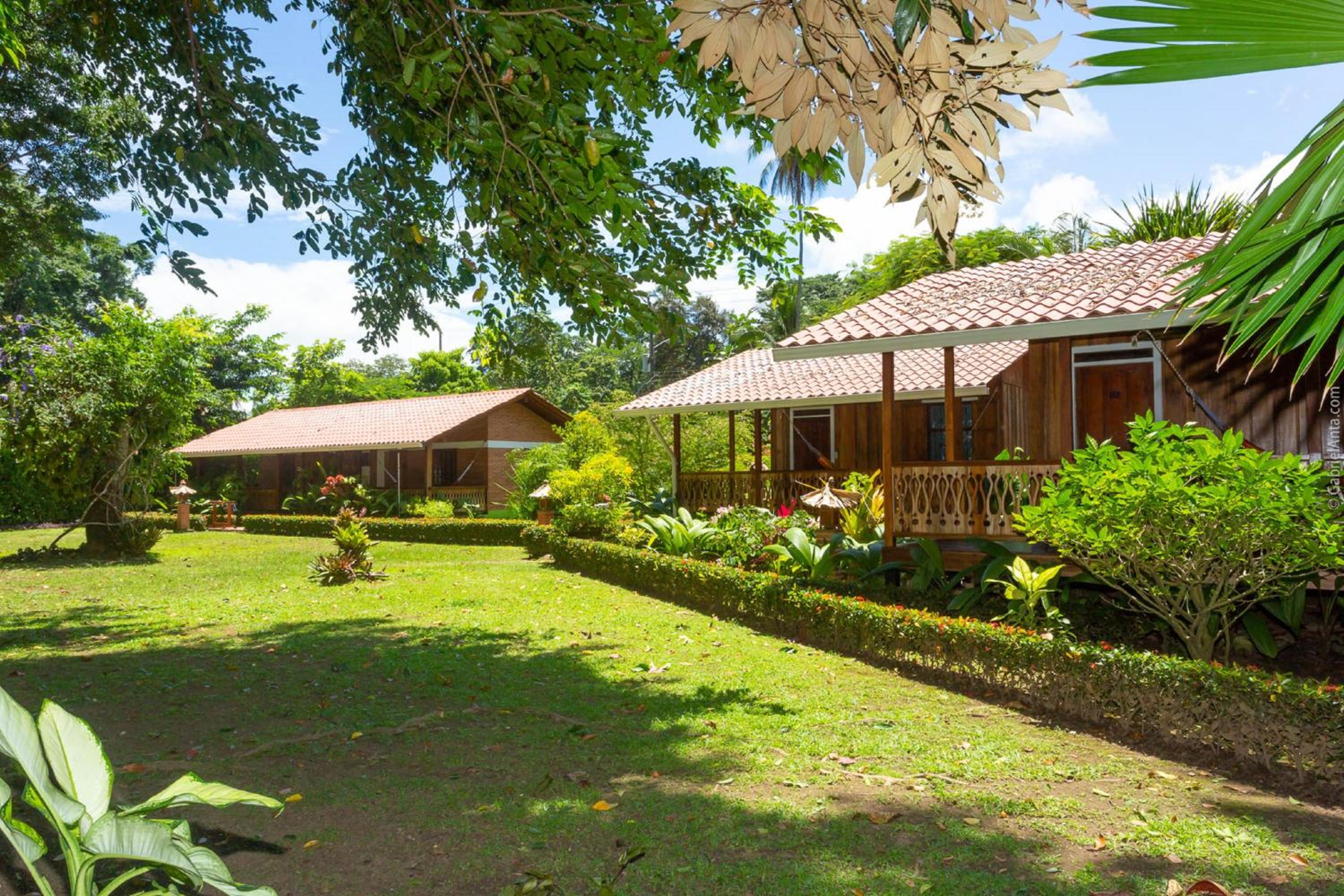 Bungalow with Sea View photo 2