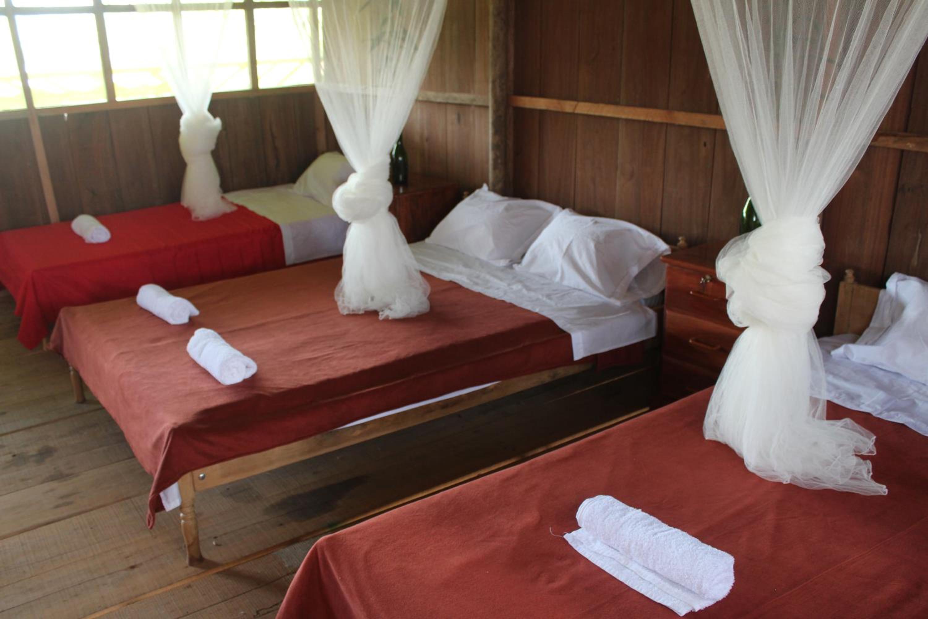 Triple Room with Mountain View photo 3