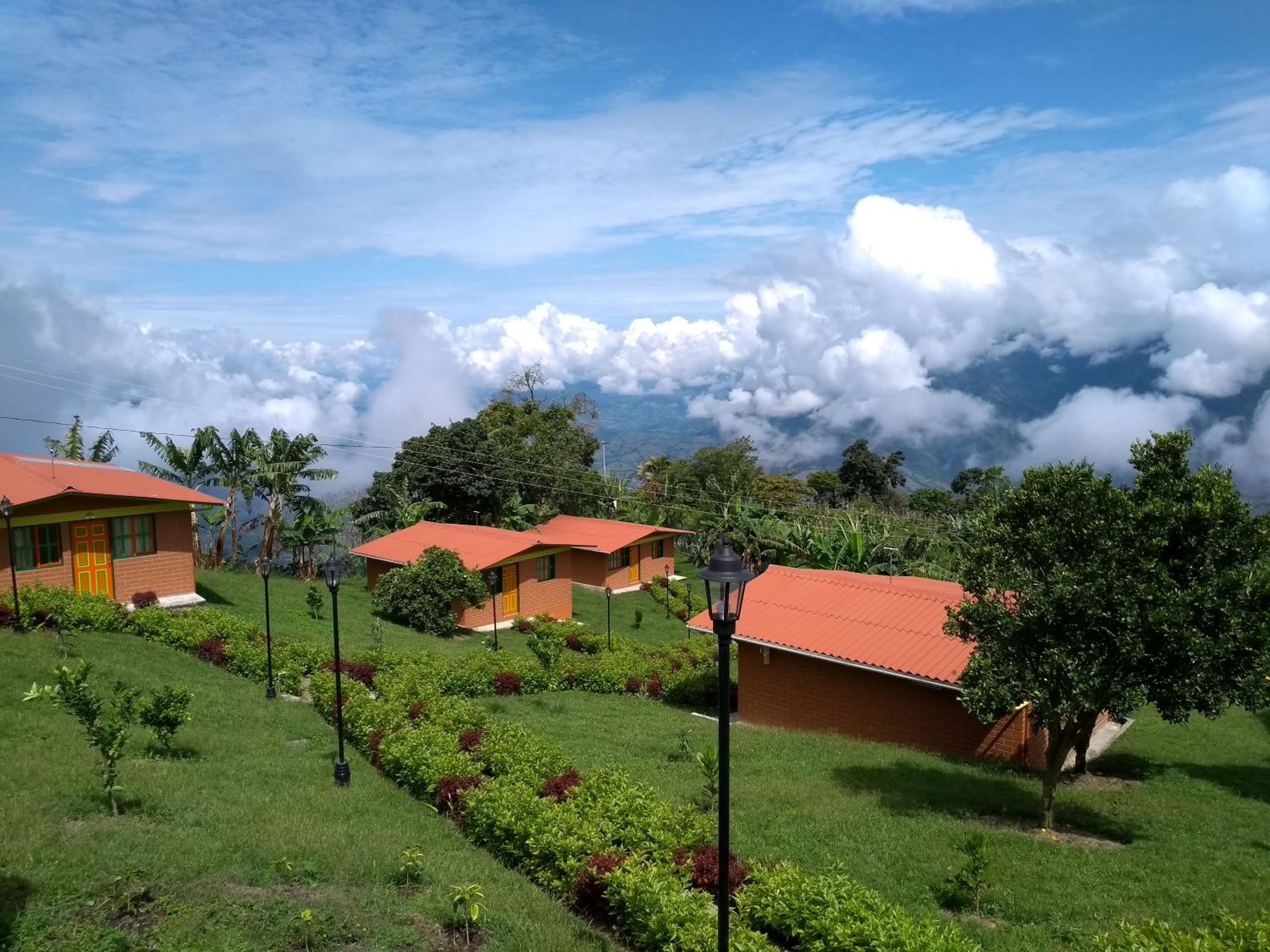 Family Bungalow photo 2