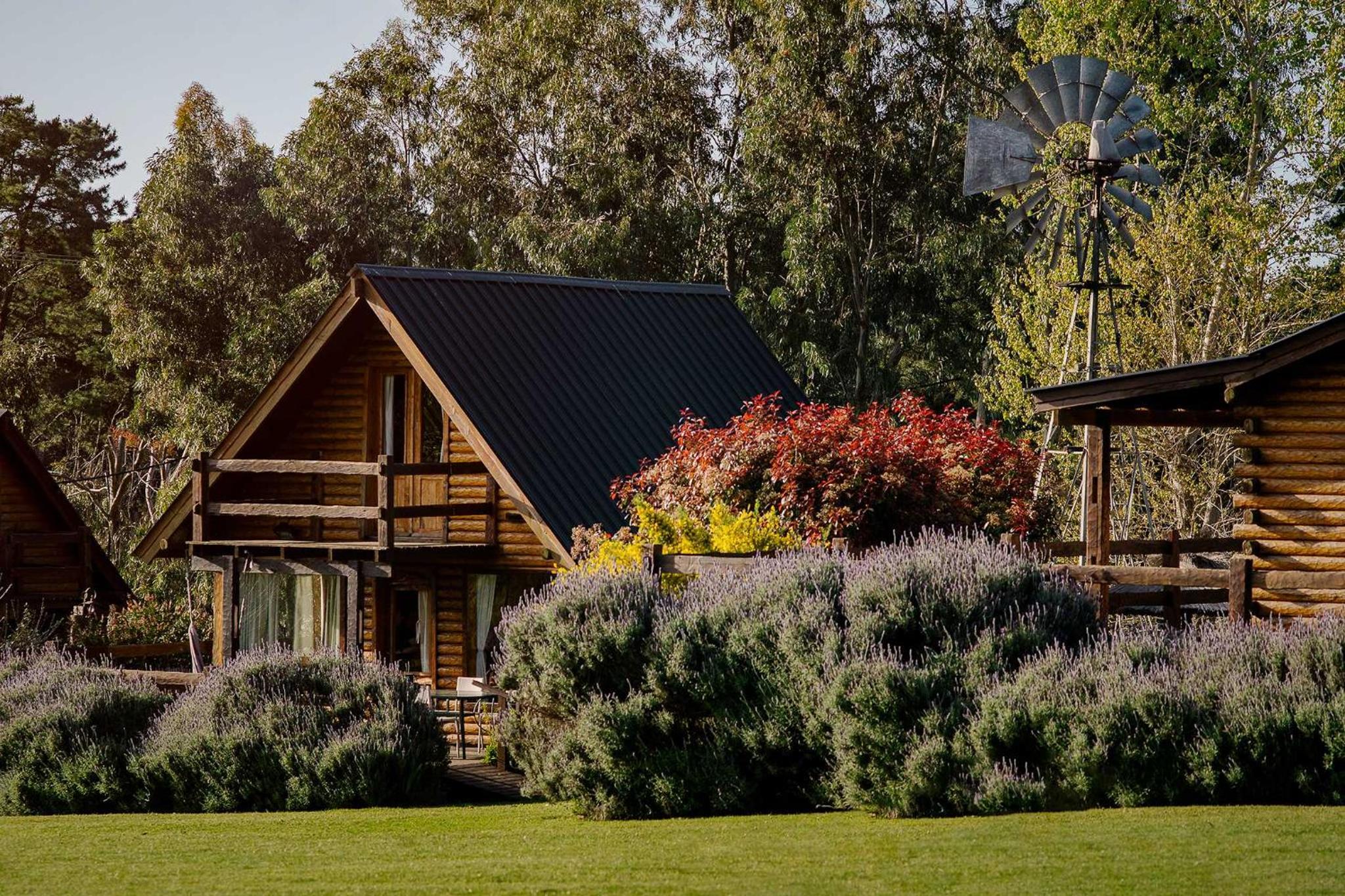 Family Cabin (5 Adults) photo 3