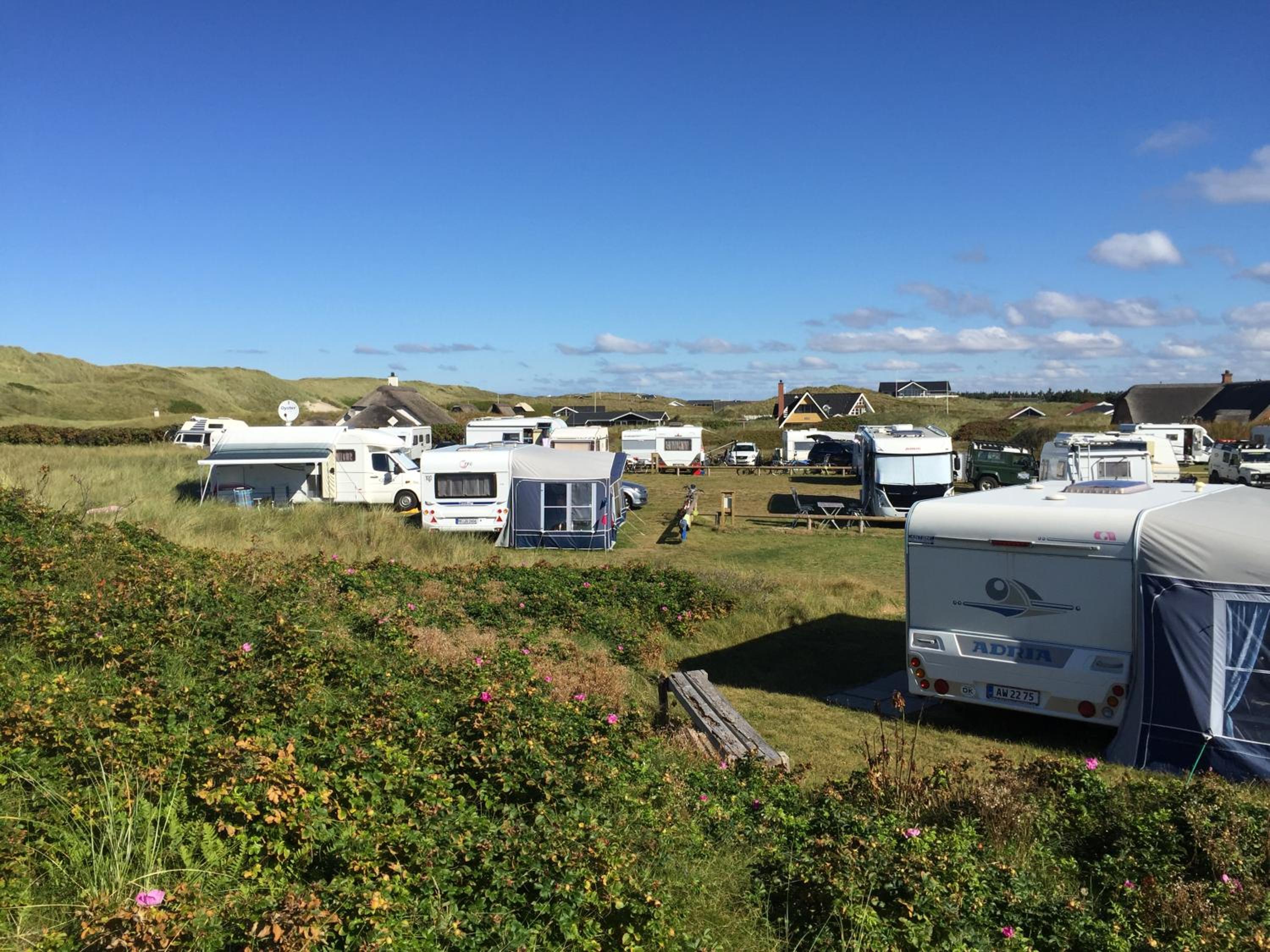 Empty lot - Standard Caravan Site (Bring your own caravan/camper) - Photo 5