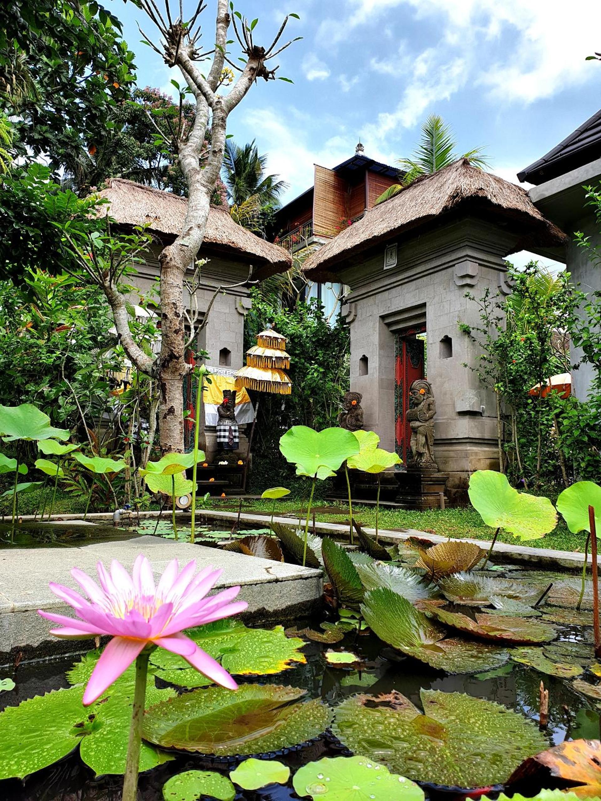 Villa - Photo 49