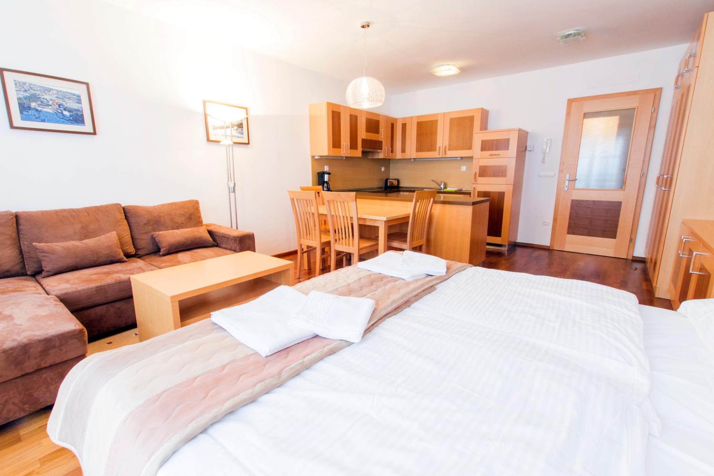 Studio Apartment with Terrace photo 1