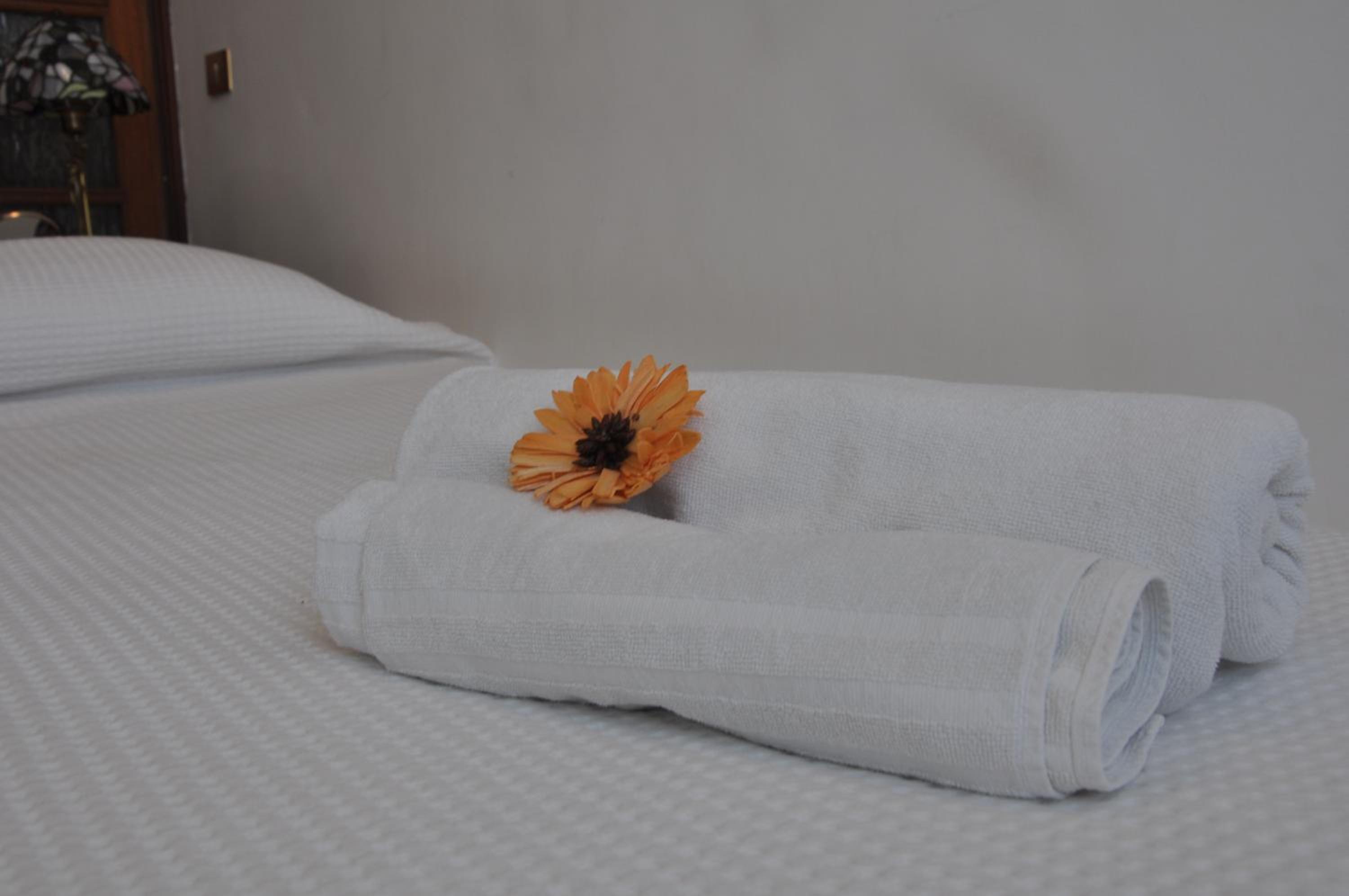 Single Room with Shared Shower and Toilet
