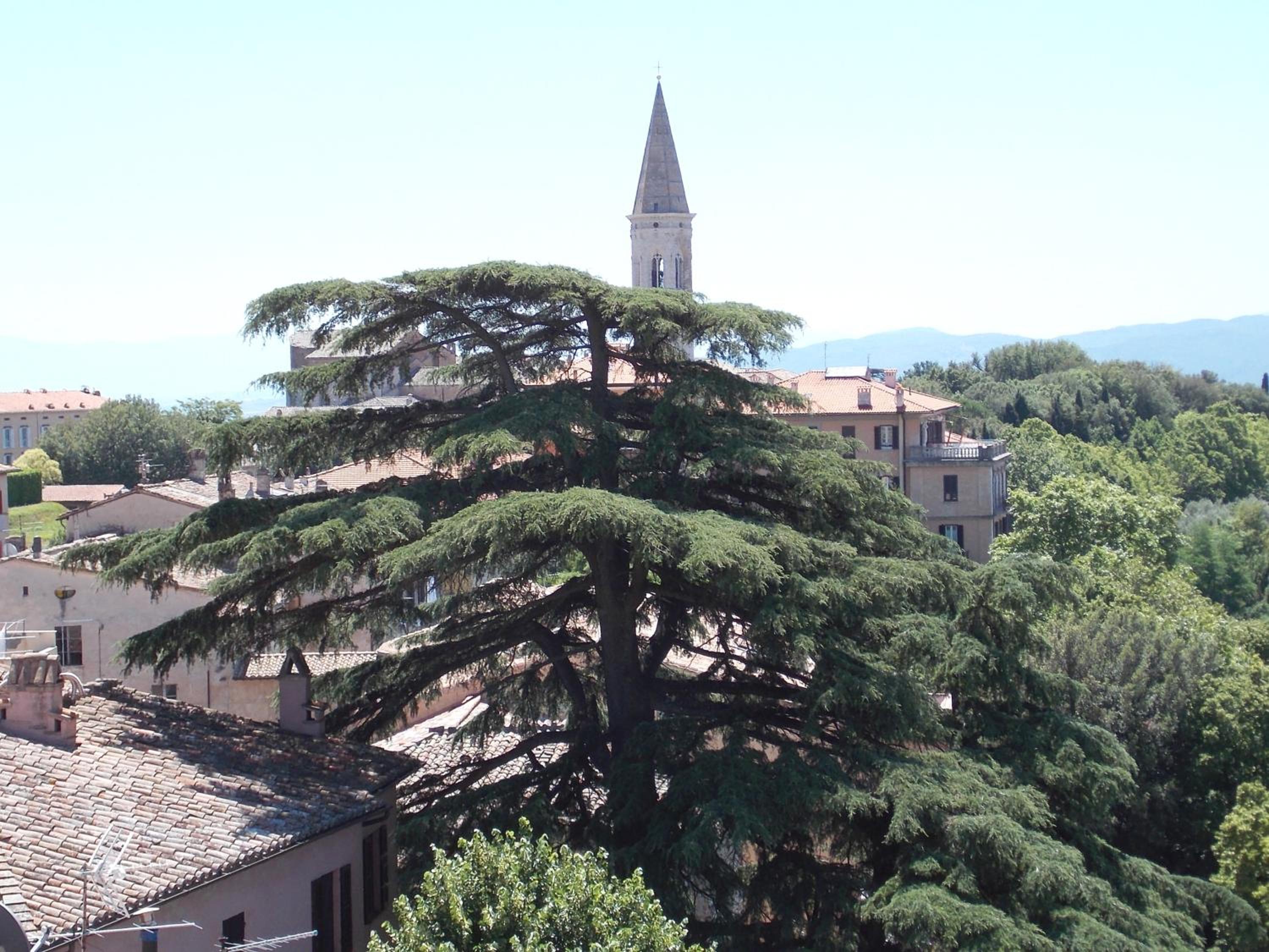 Double or Twin Room with View - Photo 12