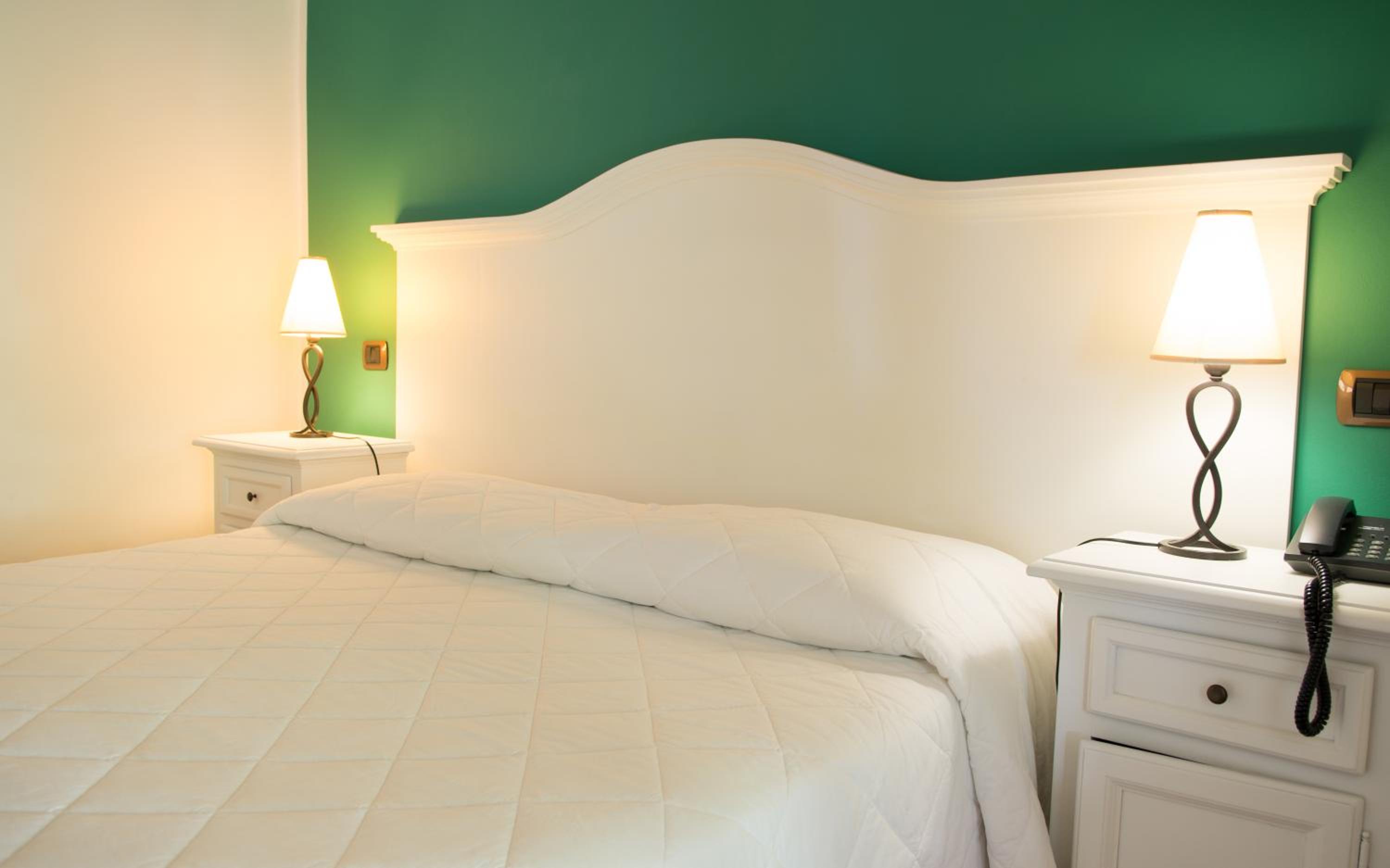 Comfort Double Room with Garden View photo 2