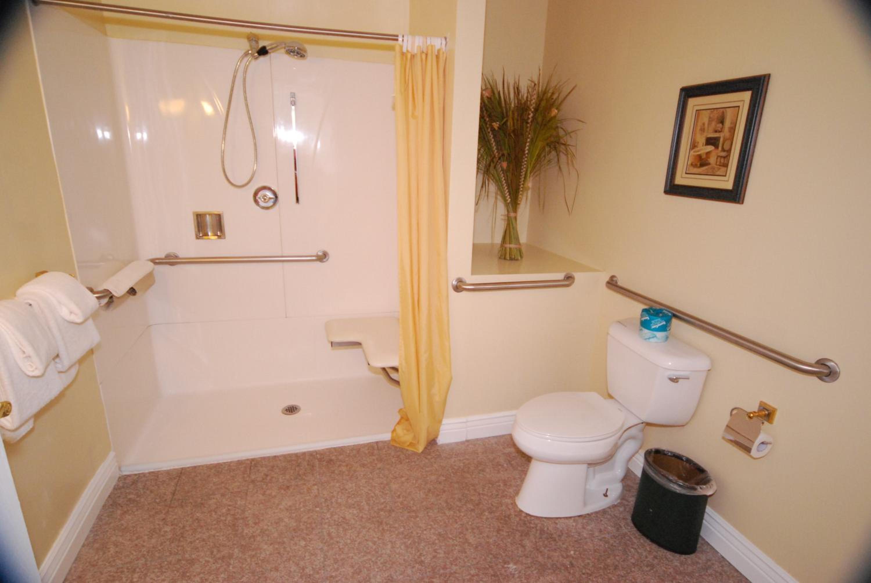Deluxe King Room - Disability Access
