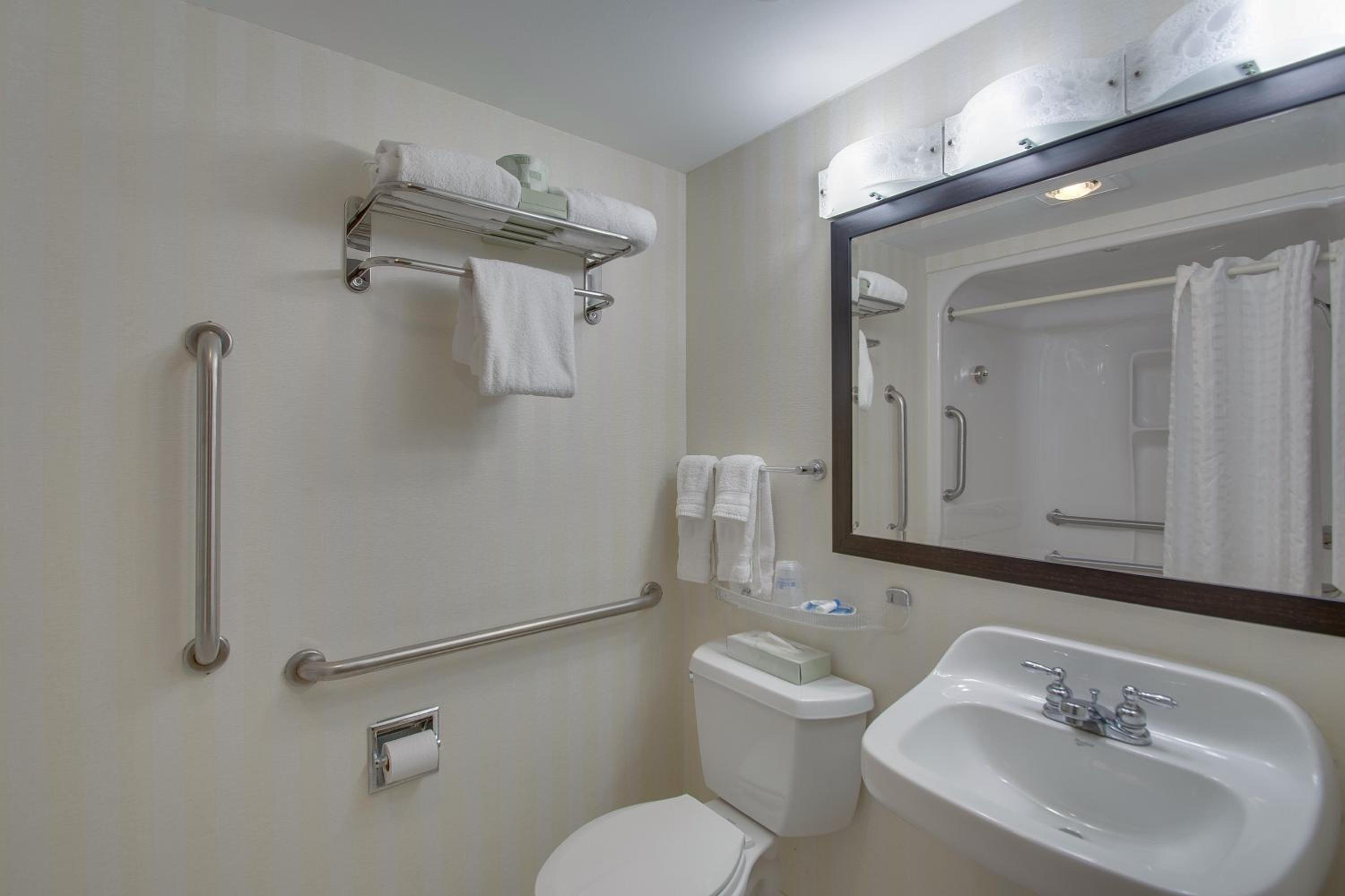 King Room With Roll-In Shower - Disability Access - Photo 2