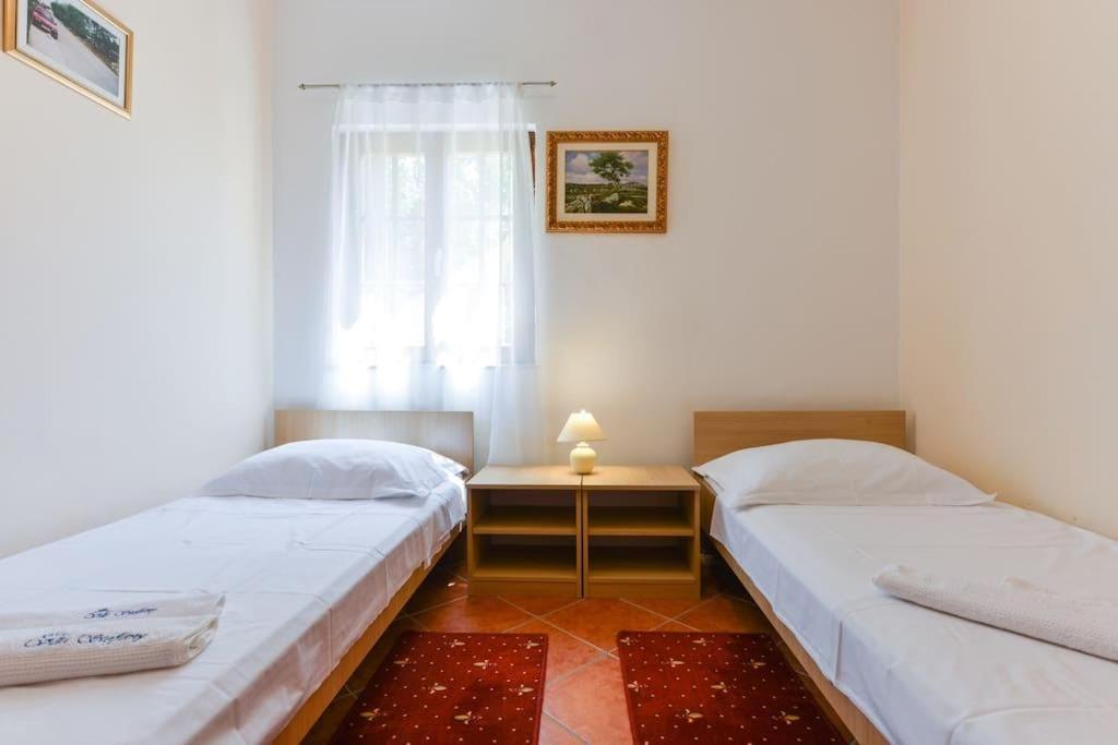 Apartment With Terrace photo 1