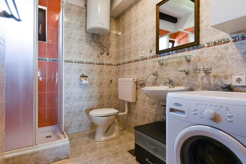 Apartment With Terrace photo 3
