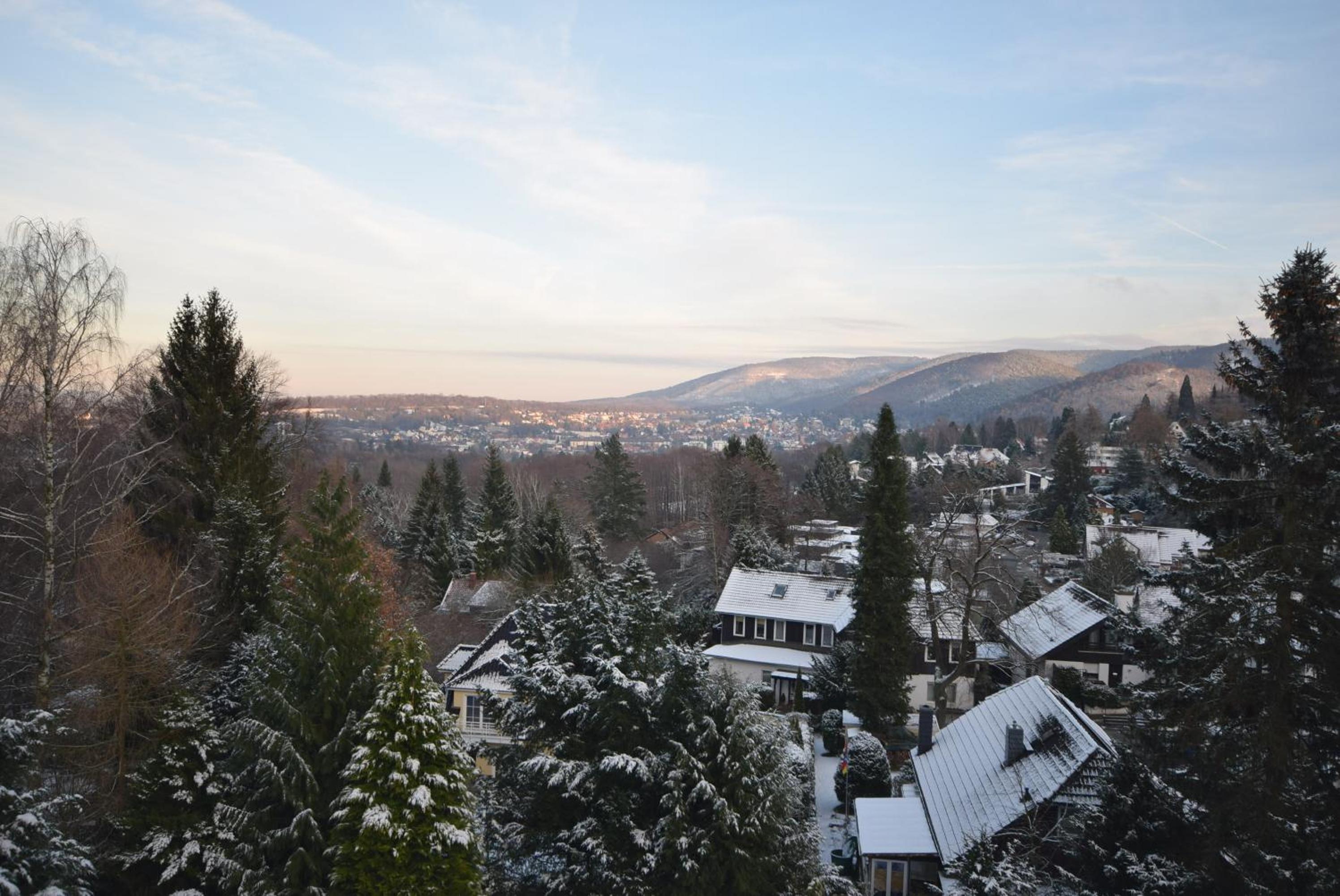 Apartment with Mountain View - Photo 25