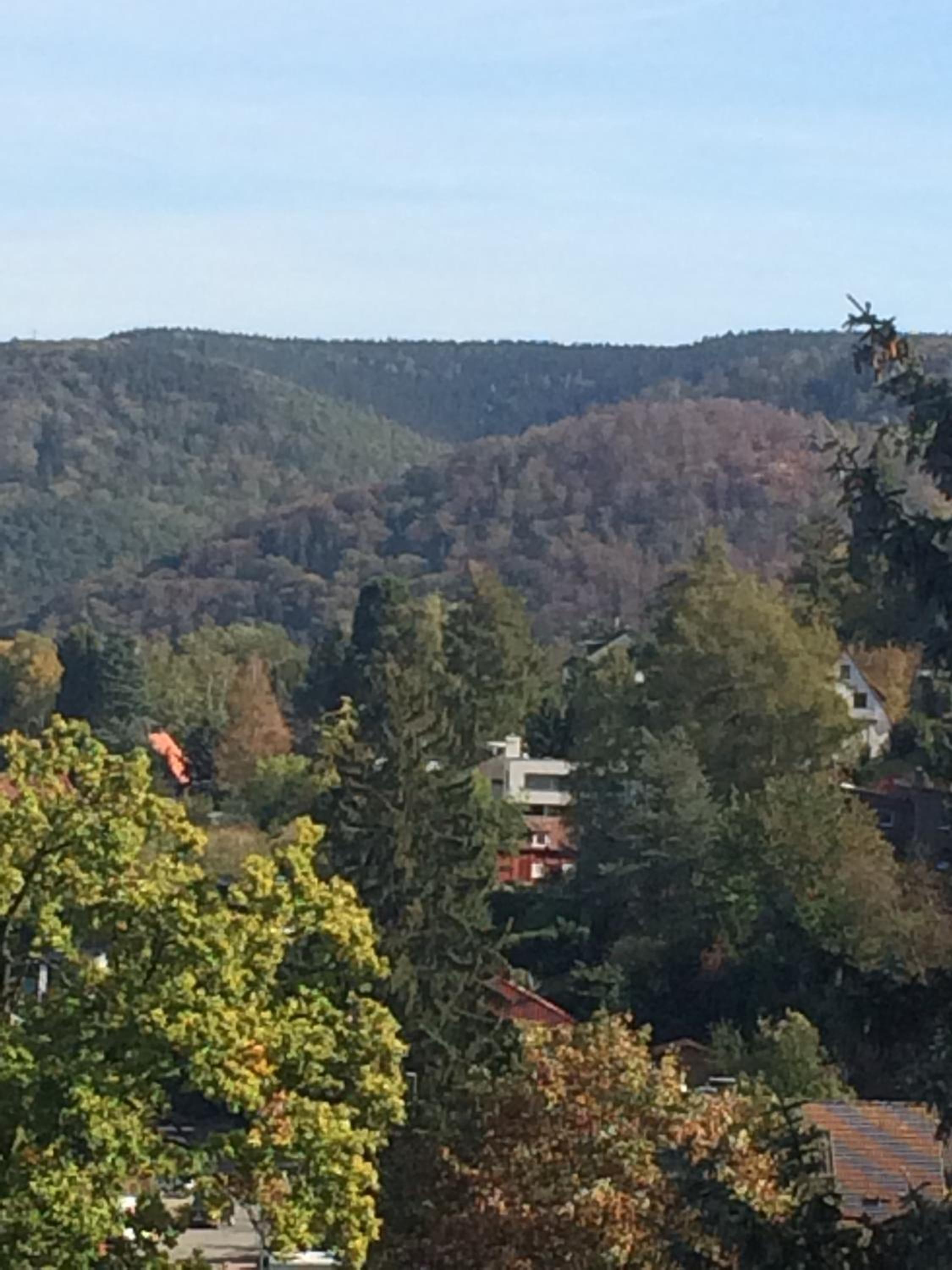 Apartment with Mountain View thumbnail 6