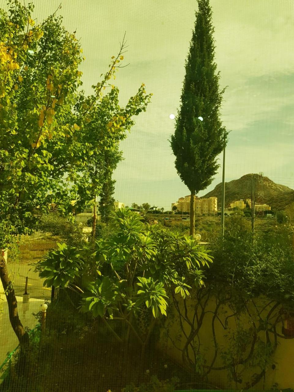 Apartment with Garden View
